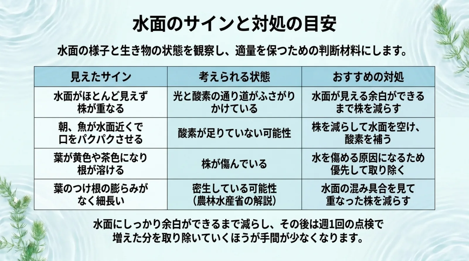 水面がほとんど見えない・朝の鼻上げ・葉や根の傷み・葉柄が細長いといったサインごとに、考えられる状態とおすすめの対処をまとめた表のスライド
