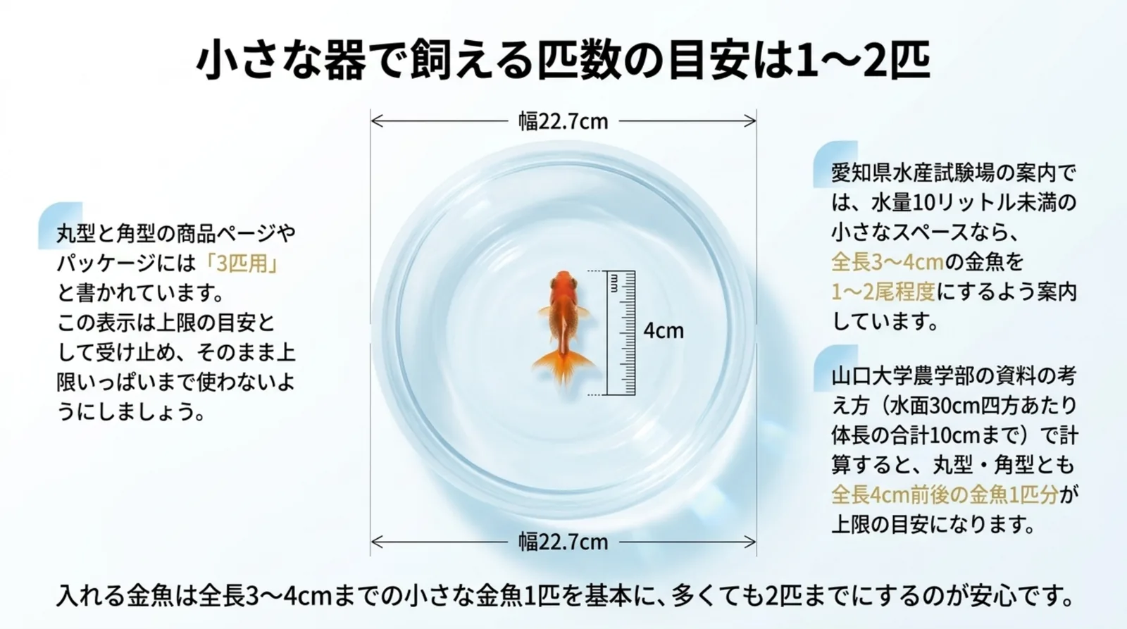 幅22.7cmの丸型金魚鉢と全長4cmの金魚を並べ、愛知県水産試験場と山口大学の資料から飼える匹数の目安を整理したスライド