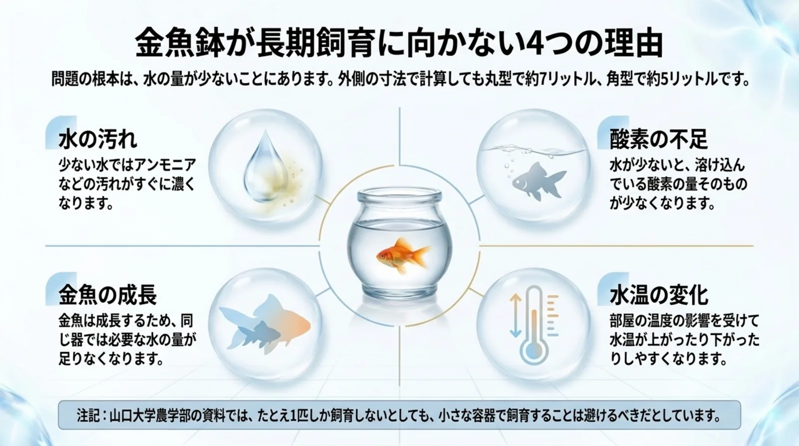 水の汚れ・酸素の不足・金魚の成長・水温の変化の4つを、小さな金魚鉢の写真を中心に並べて説明したスライド