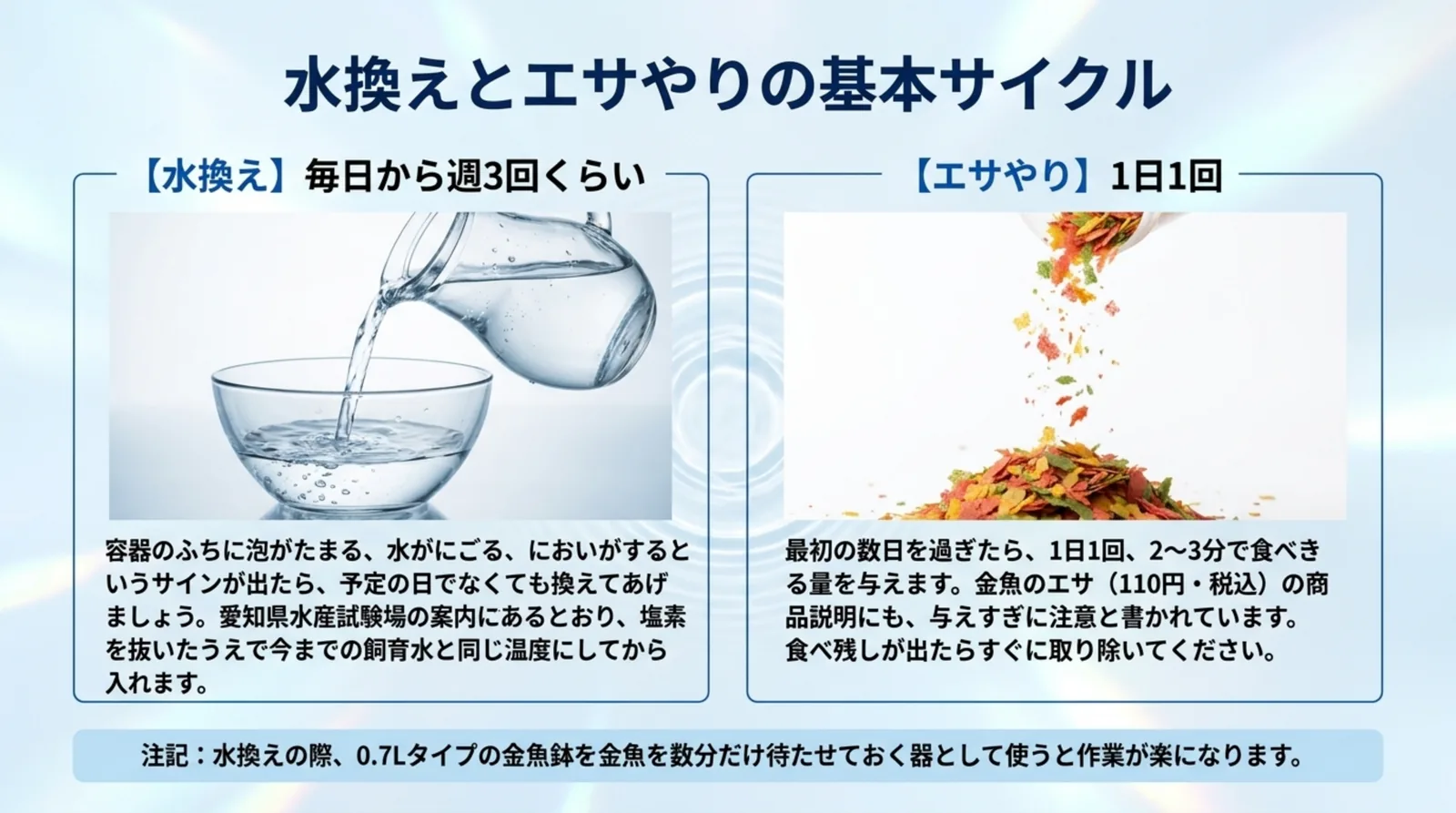 水換えは毎日から週3回くらい、エサは1日1回という目安を、水を注ぐ写真とフレークのエサの写真で示したスライド