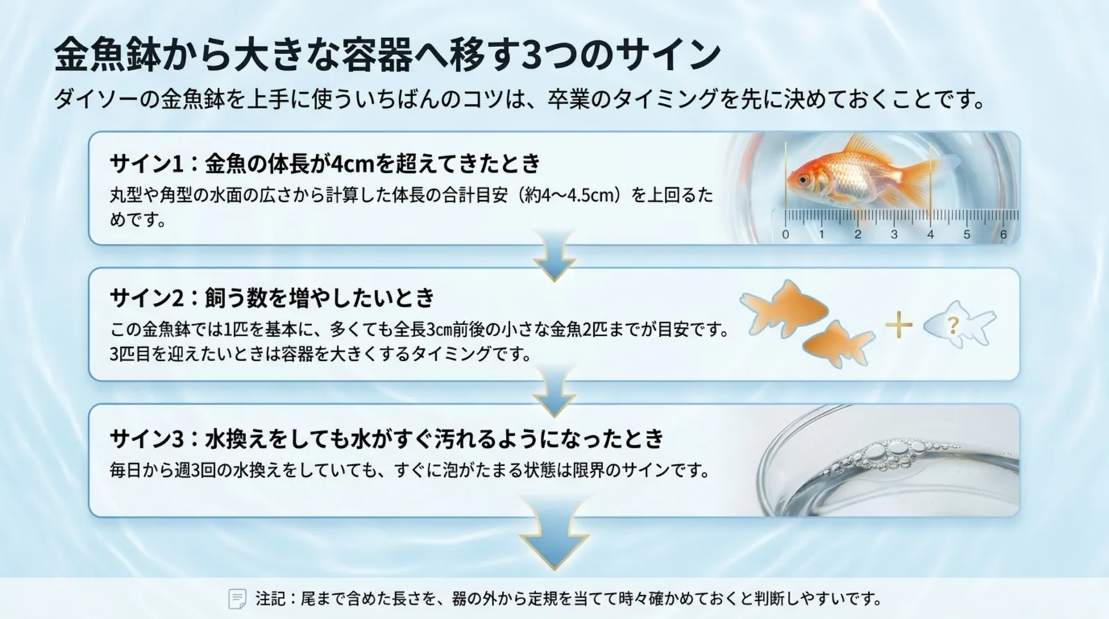 金魚の体長が4cmを超えたとき、飼う数を増やしたいとき、水がすぐ汚れるときの3つのサインを順に並べたスライド