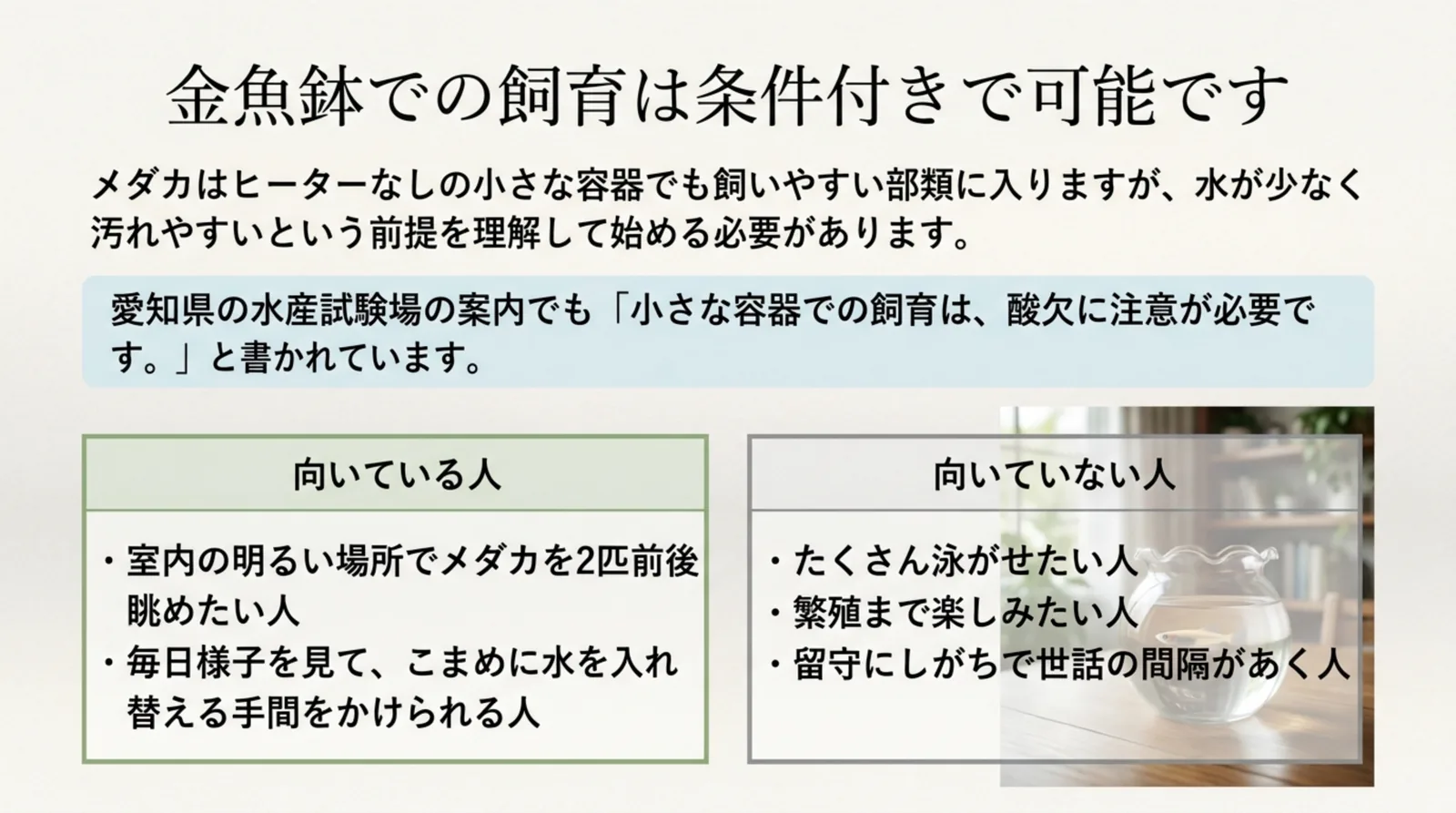 金魚鉢でのメダカ飼育が向いている人と向いていない人を左右に分けて比べたスライド