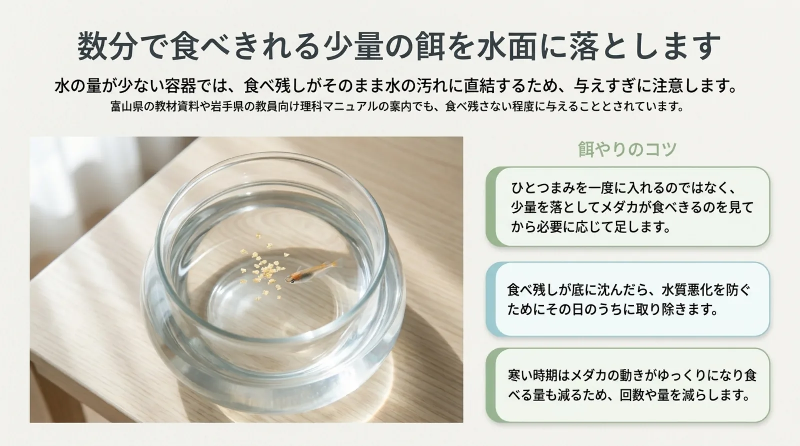 金魚鉢の水面に少量の餌を落としたメダカの写真と、餌やりのコツ3つをまとめたスライド