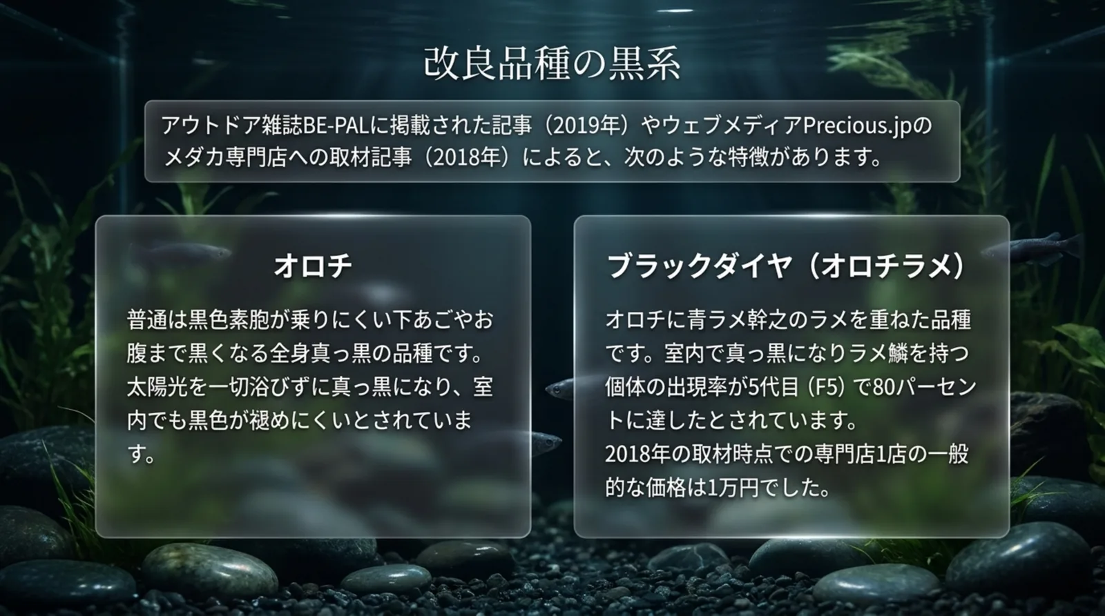 オロチとブラックダイヤ(オロチラメ)の特徴を左右に並べて説明したスライド