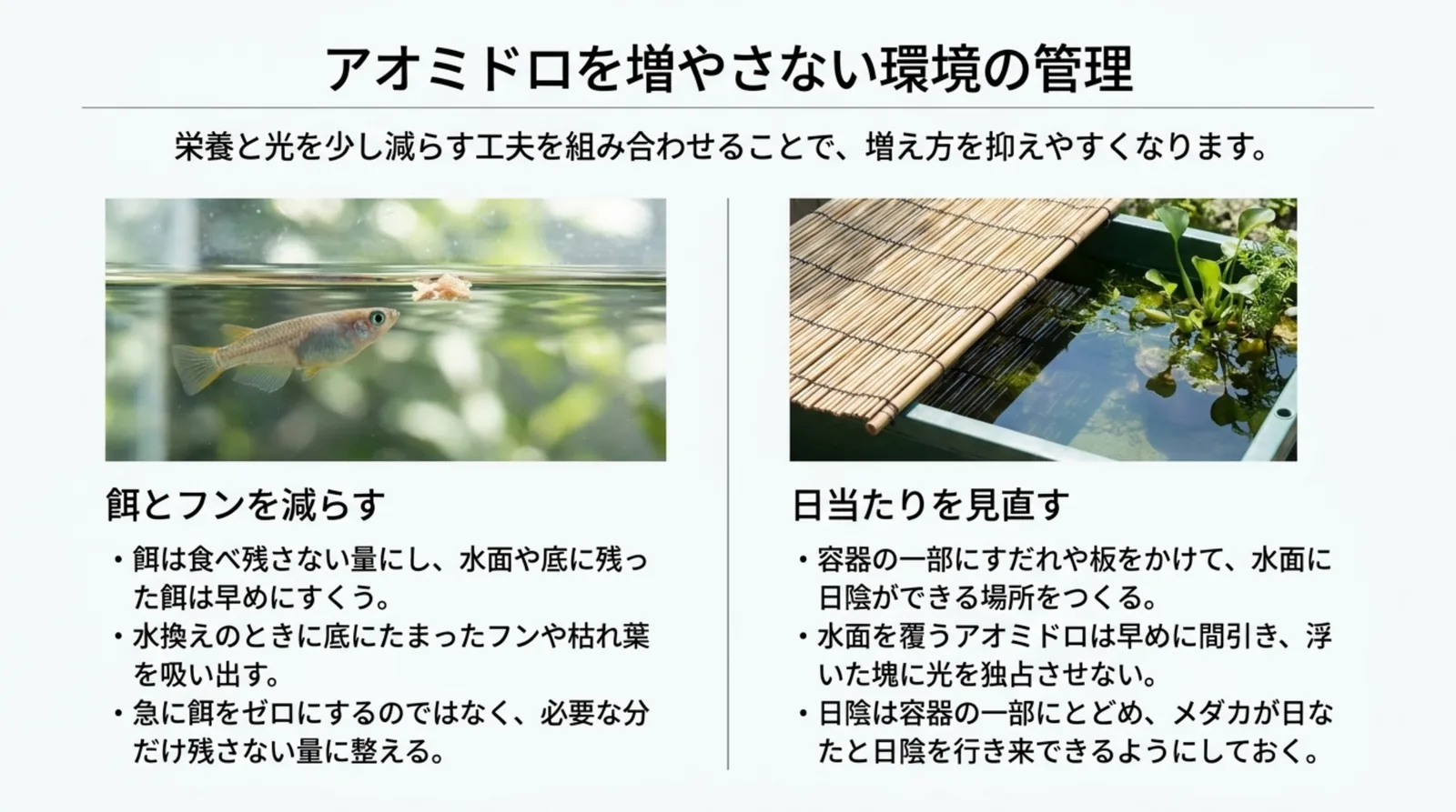 餌とフンを減らす工夫と、すだれで容器の一部に日陰をつくる日当たりの見直しを左右に並べたスライド