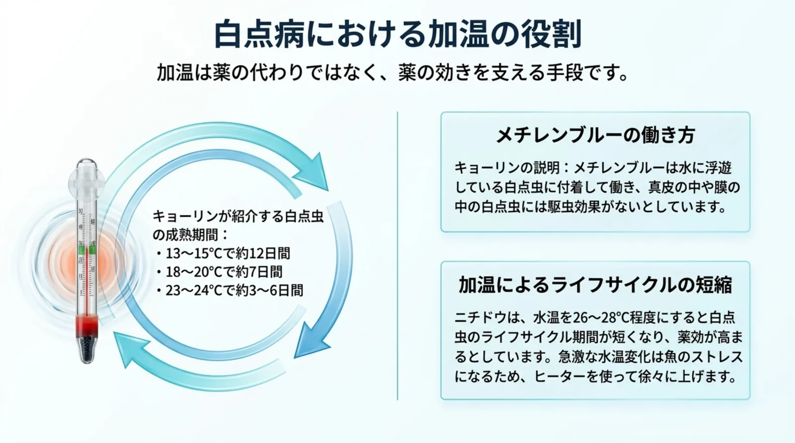 水温ごとの白点虫の成熟期間と、加温は薬の代わりではなく薬の効きを支える手段であることをまとめたスライド
