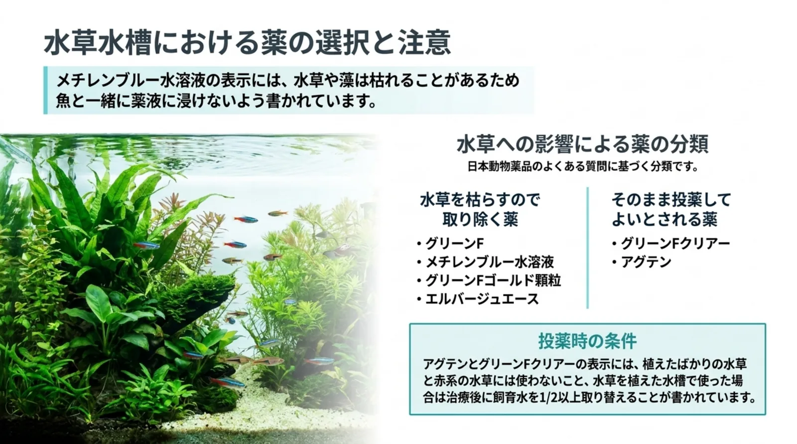 水草を枯らすので取り除く薬と、そのまま投薬してよいとされる薬を分け、アグテンとグリーンFクリアーの使用条件を添えたスライド