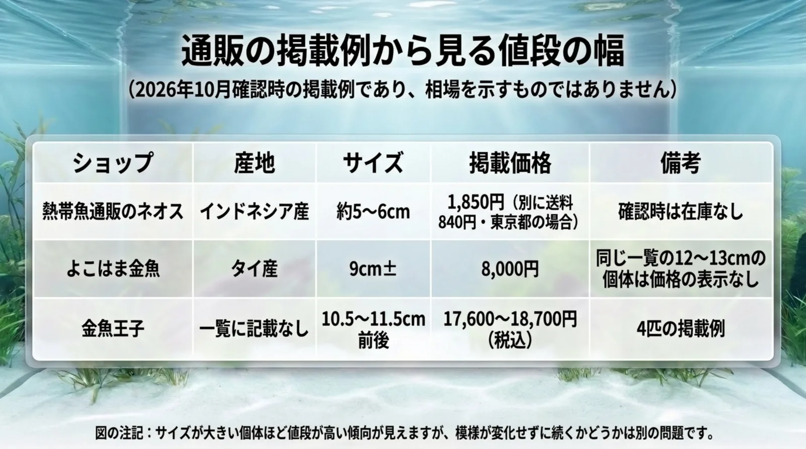 3つの通販ショップのパンダオランダの産地・サイズ・掲載価格を並べた2026年10月確認時の掲載例の表のスライド