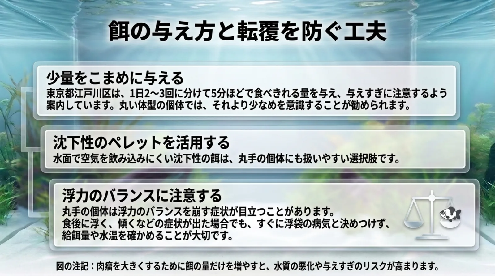 少量をこまめに与える・沈下性のペレットを活用する・浮力のバランスに注意するの3つをまとめたスライド