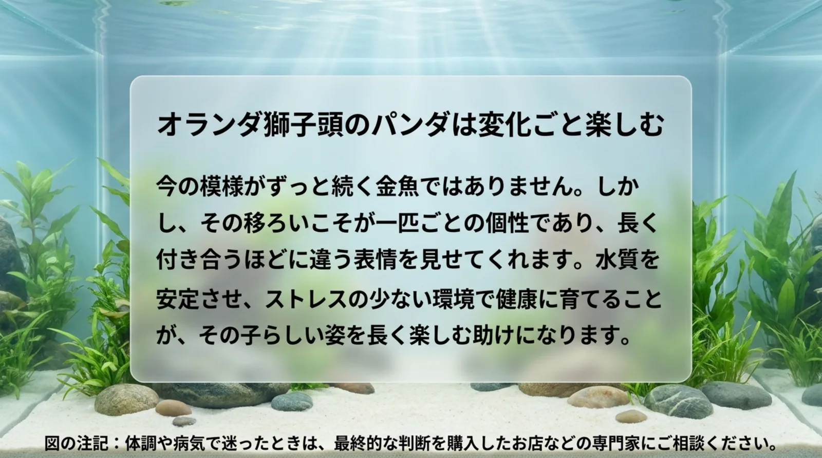 模様の移ろいも個性として、水質を安定させて健康に育てることをまとめた水槽の写真のスライド