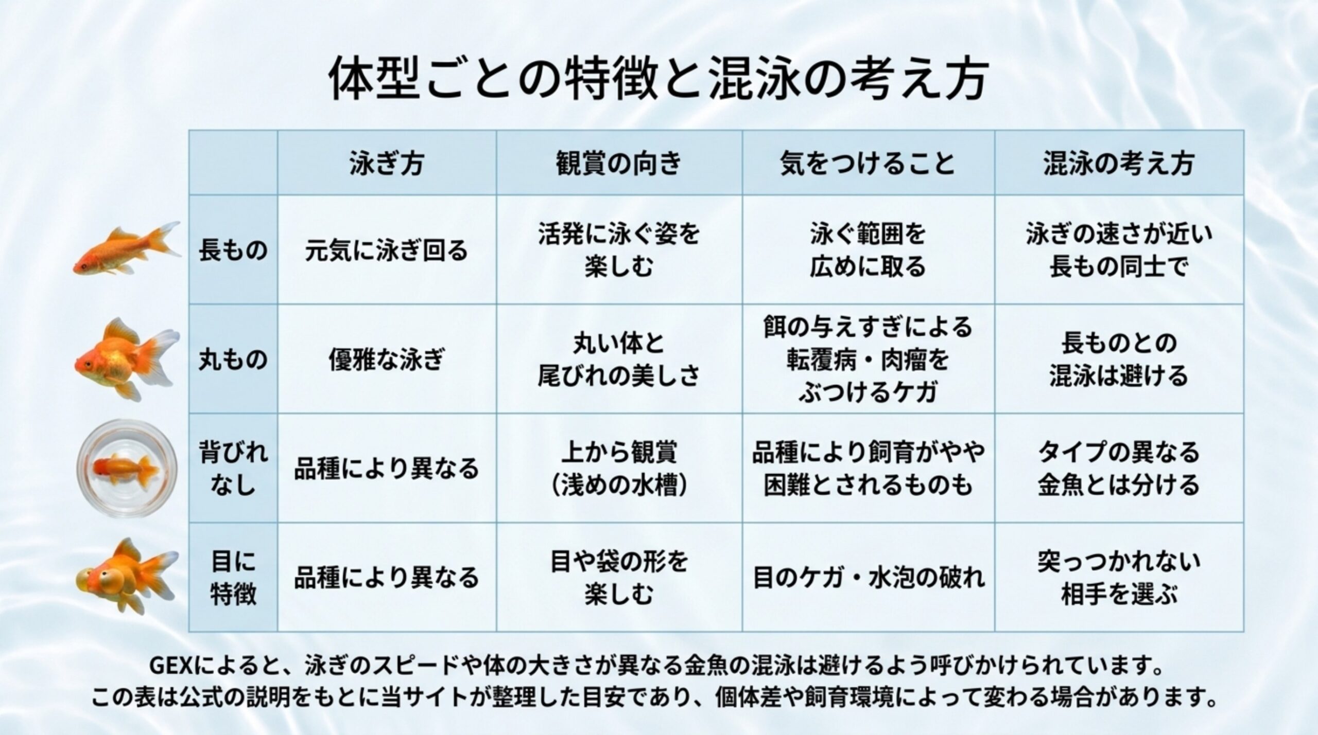 長もの・丸もの・背びれなし・目に特徴の4タイプについて泳ぎ方・観賞の向き・気をつけること・混泳の考え方を比べた表のスライド