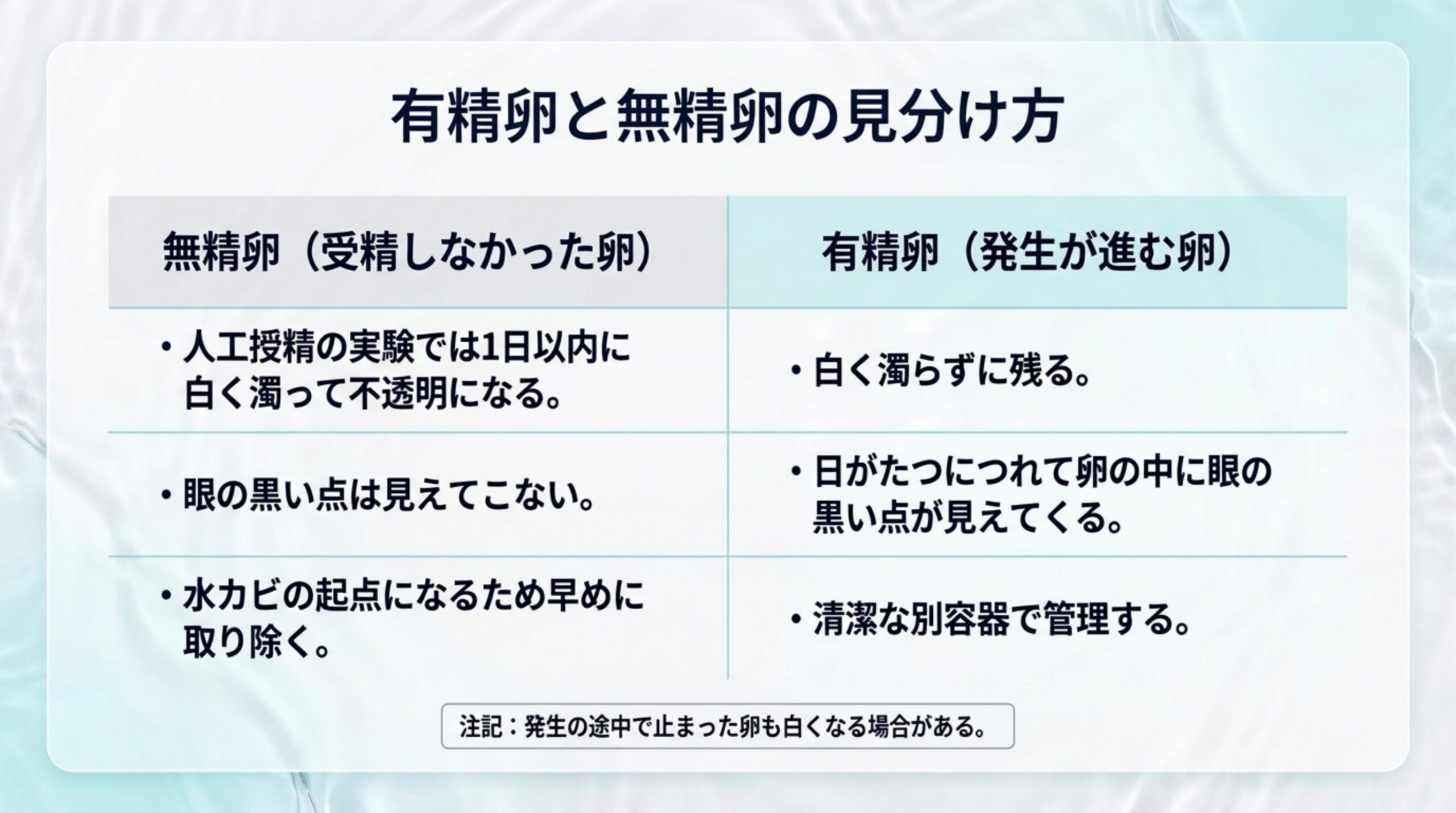 無精卵は1日以内に白く濁り、有精卵は日がたつと眼の黒い点が見えてくる違いを比べた表のスライド