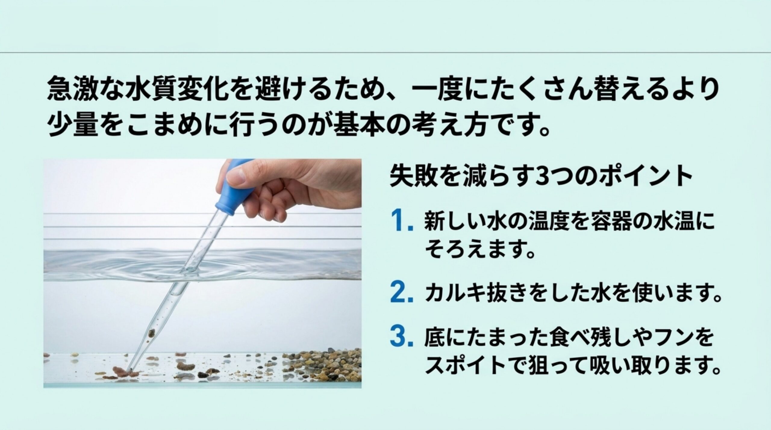スポイトで容器の底の食べ残しを吸い取る写真と、水温をそろえる・カルキ抜きをする・底の汚れを吸うの3点をまとめたスライド