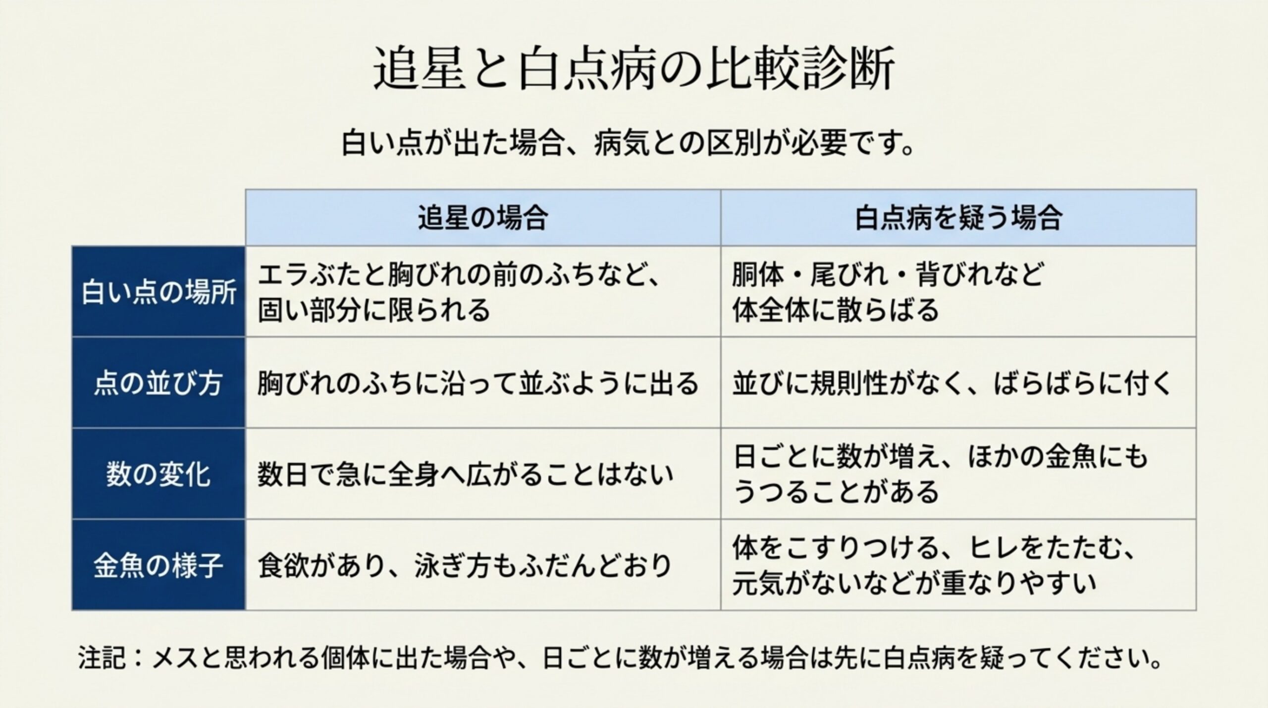 白い点の場所・並び方・数の変化・金魚の様子の4項目で追星と白点病を比べた表のスライド