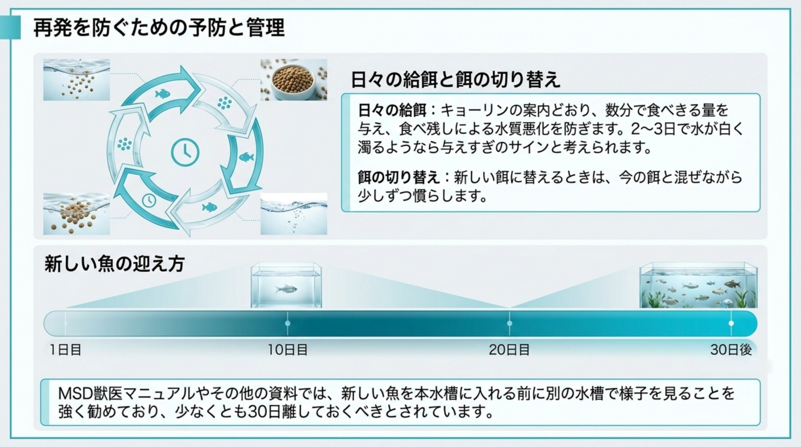 数分で食べきる量の給餌と餌の切り替え方、新しい魚を少なくとも30日別の水槽で様子を見る流れを示したスライド