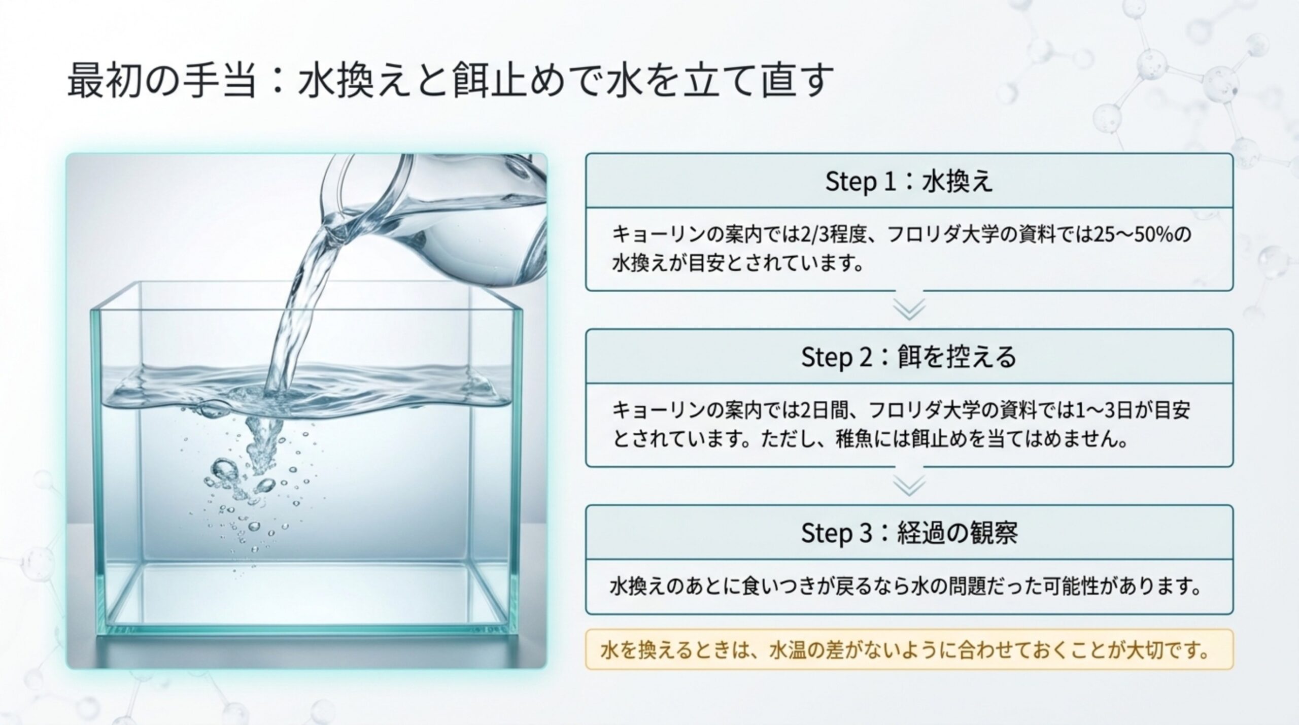 水換え・餌を控える・経過の観察の3ステップと、資料ごとの水換え量と餌止めの日数の目安を示したスライド