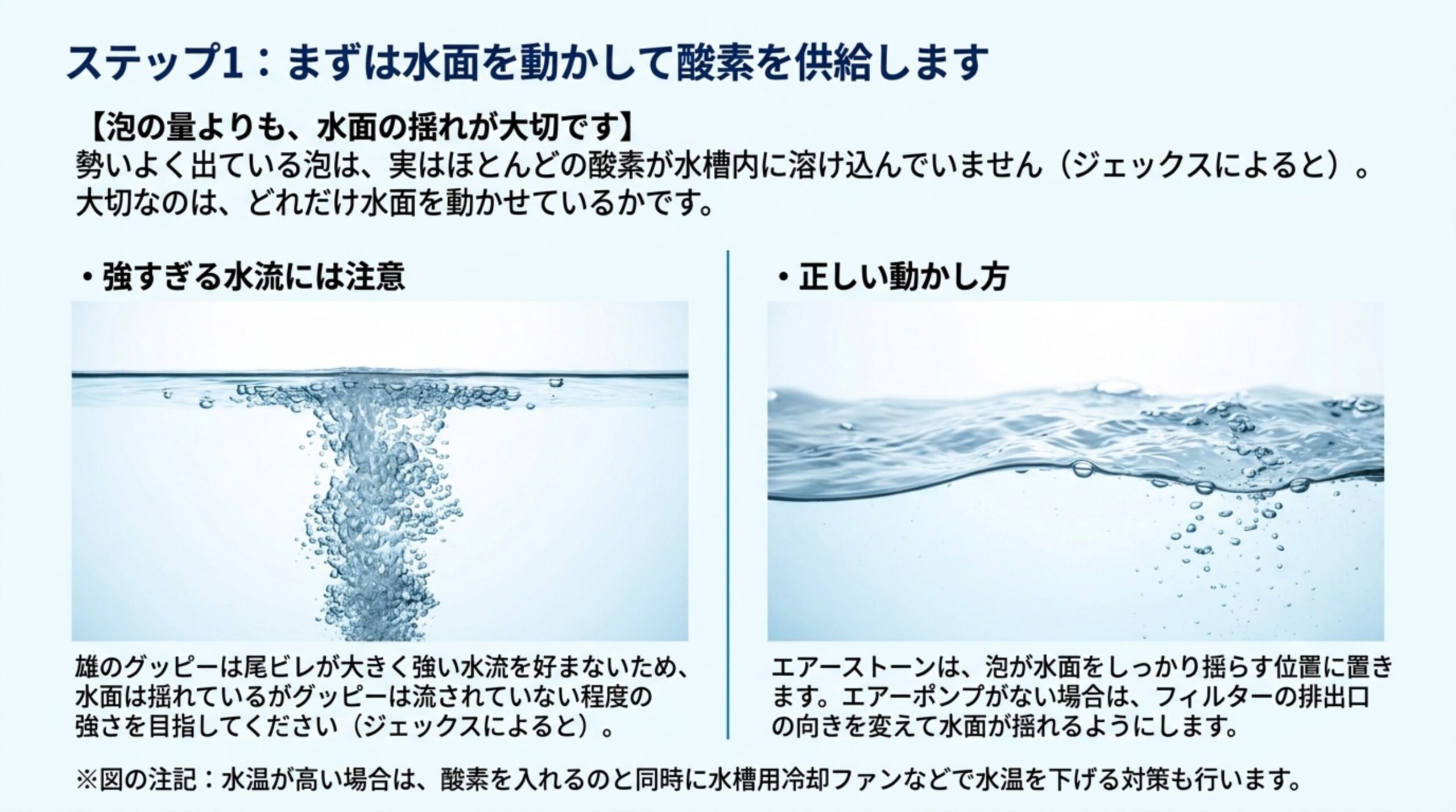 泡の量より水面の揺れが大切なことと、グッピーが流されない強さで水面を揺らす方法を説明したスライド