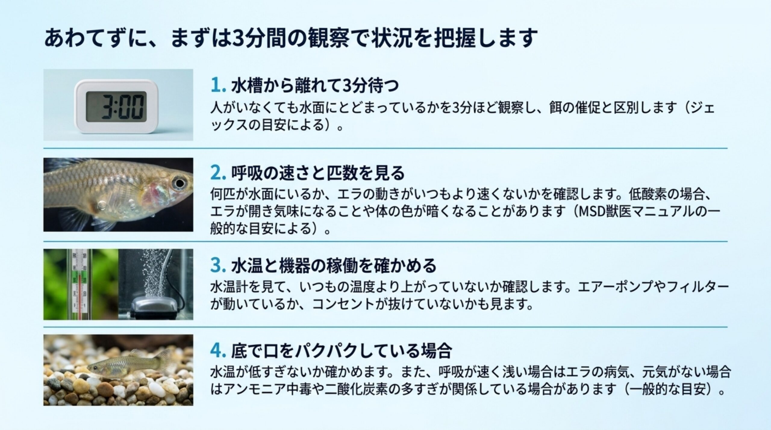 水槽から離れて3分待つ・呼吸の速さと匹数・水温と機器の稼働・底でパクパクする場合の4つの確認手順を示したスライド