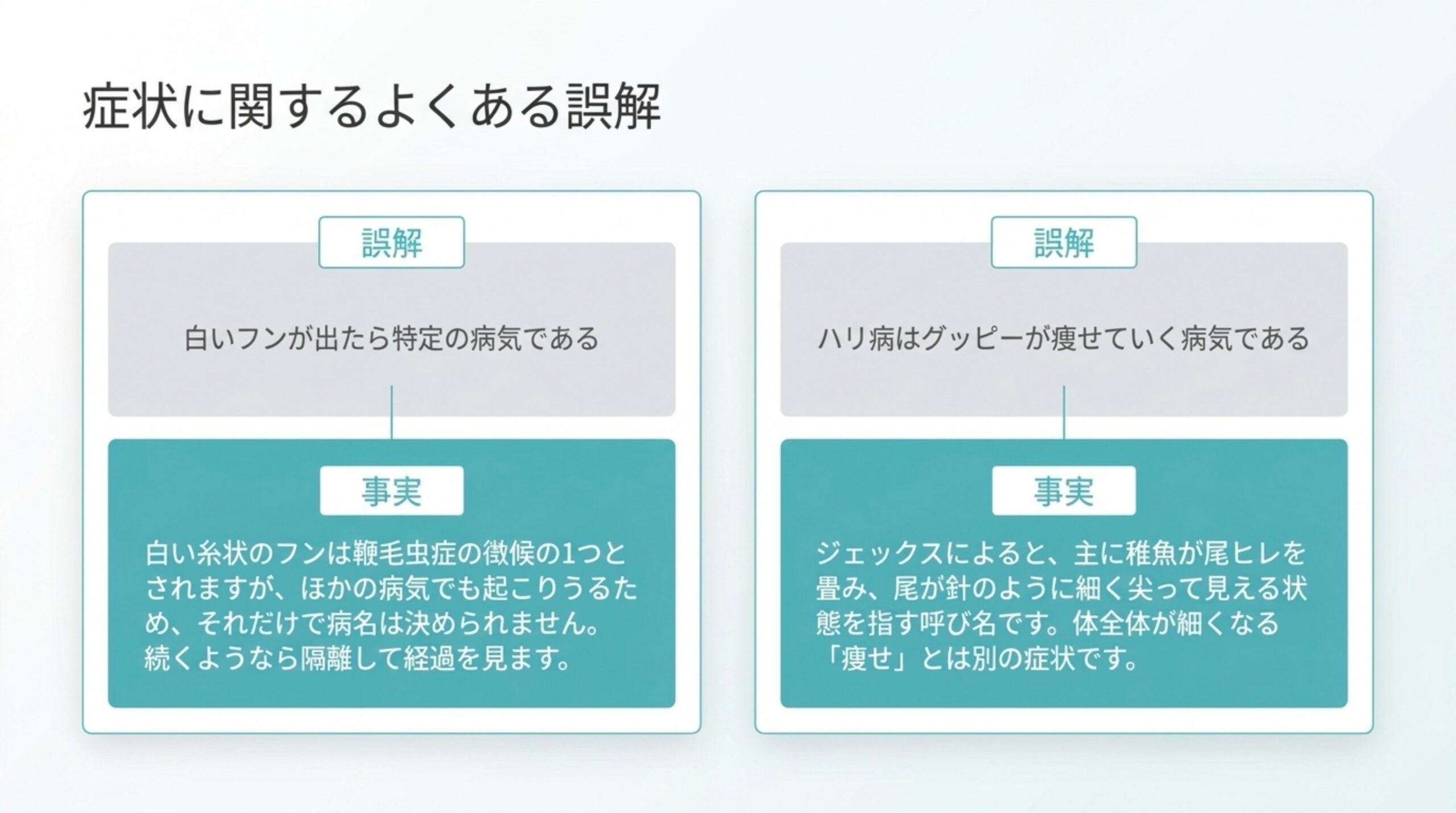 白い糸状のフンだけでは病名を決められないことと、ハリ病は稚魚が尾ヒレを畳む状態を指す呼び名で痩せとは別だと説明したスライド