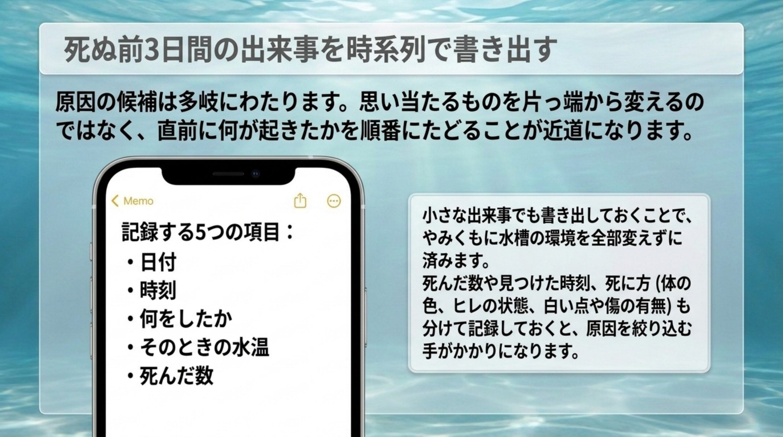 日付・時刻・何をしたか・水温・死んだ数の5項目を、スマートフォンのメモに書き出す例を示したスライド
