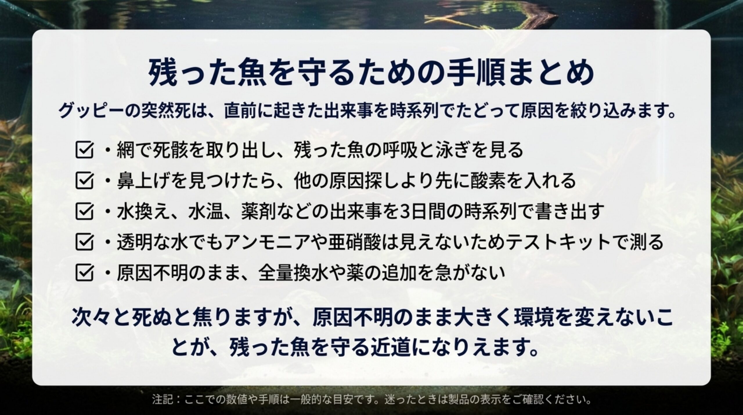 死骸の取り出し、鼻上げ時の酸素、3日間の書き出し、アンモニアと亜硝酸の測定、全量換水を急がないことを並べたまとめのスライド
