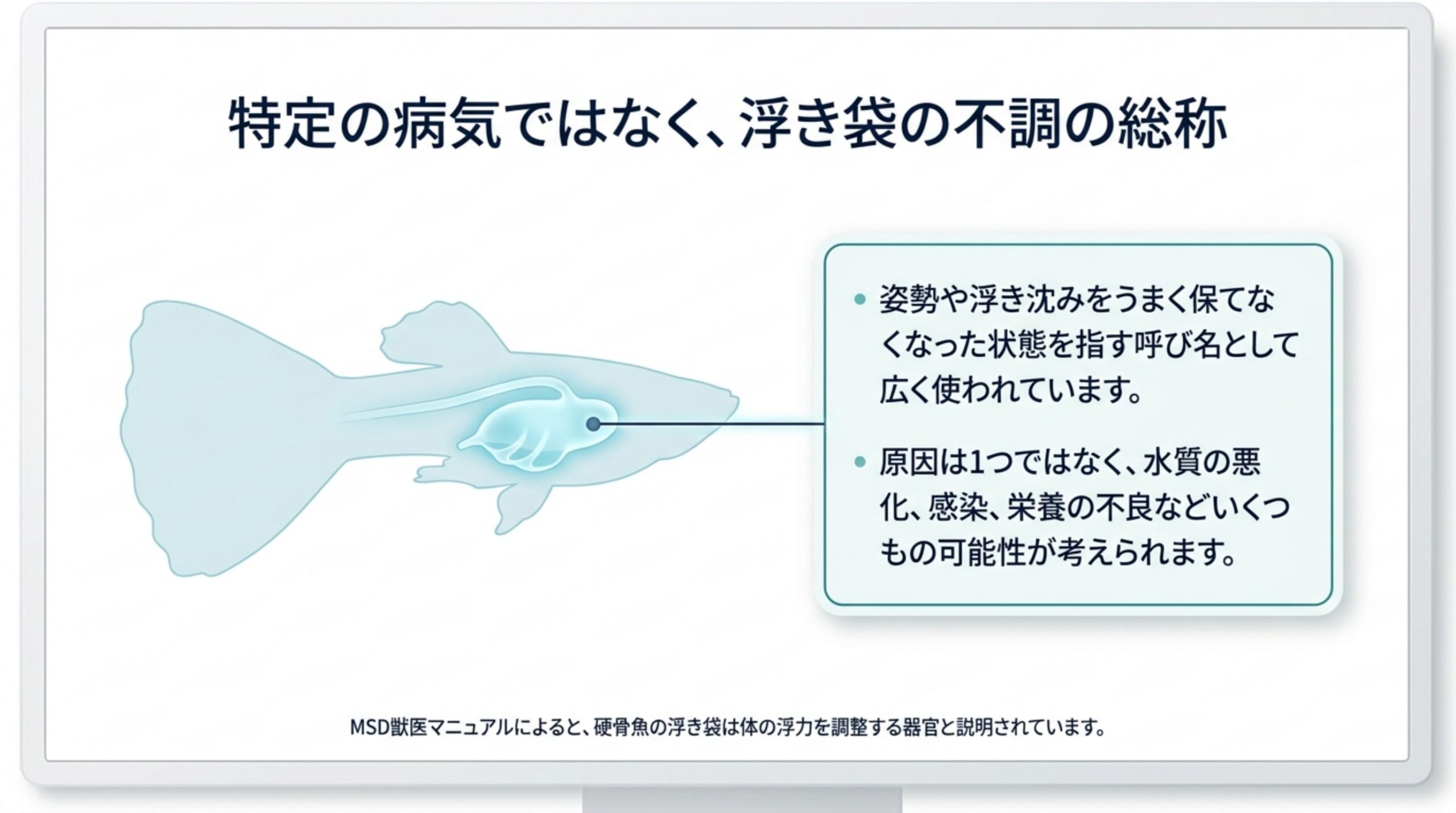 グッピーの体の中の浮き袋の位置を示し、転覆病が姿勢や浮き沈みを保てなくなった状態の呼び名であることをまとめたスライド