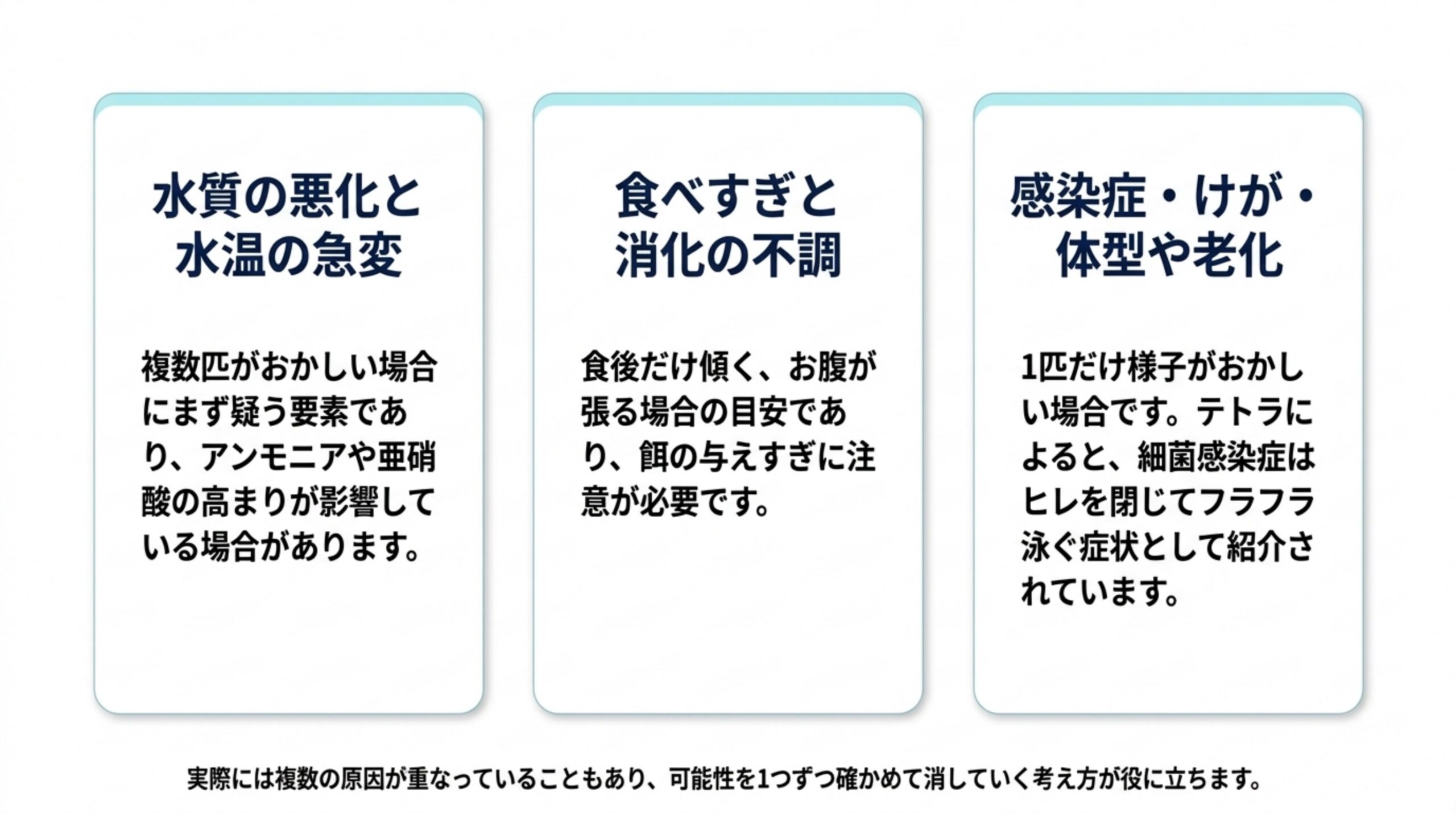 水質の悪化と水温の急変、食べすぎと消化の不調、感染症・けが・体型や老化の3つの原因の系統を並べたスライド