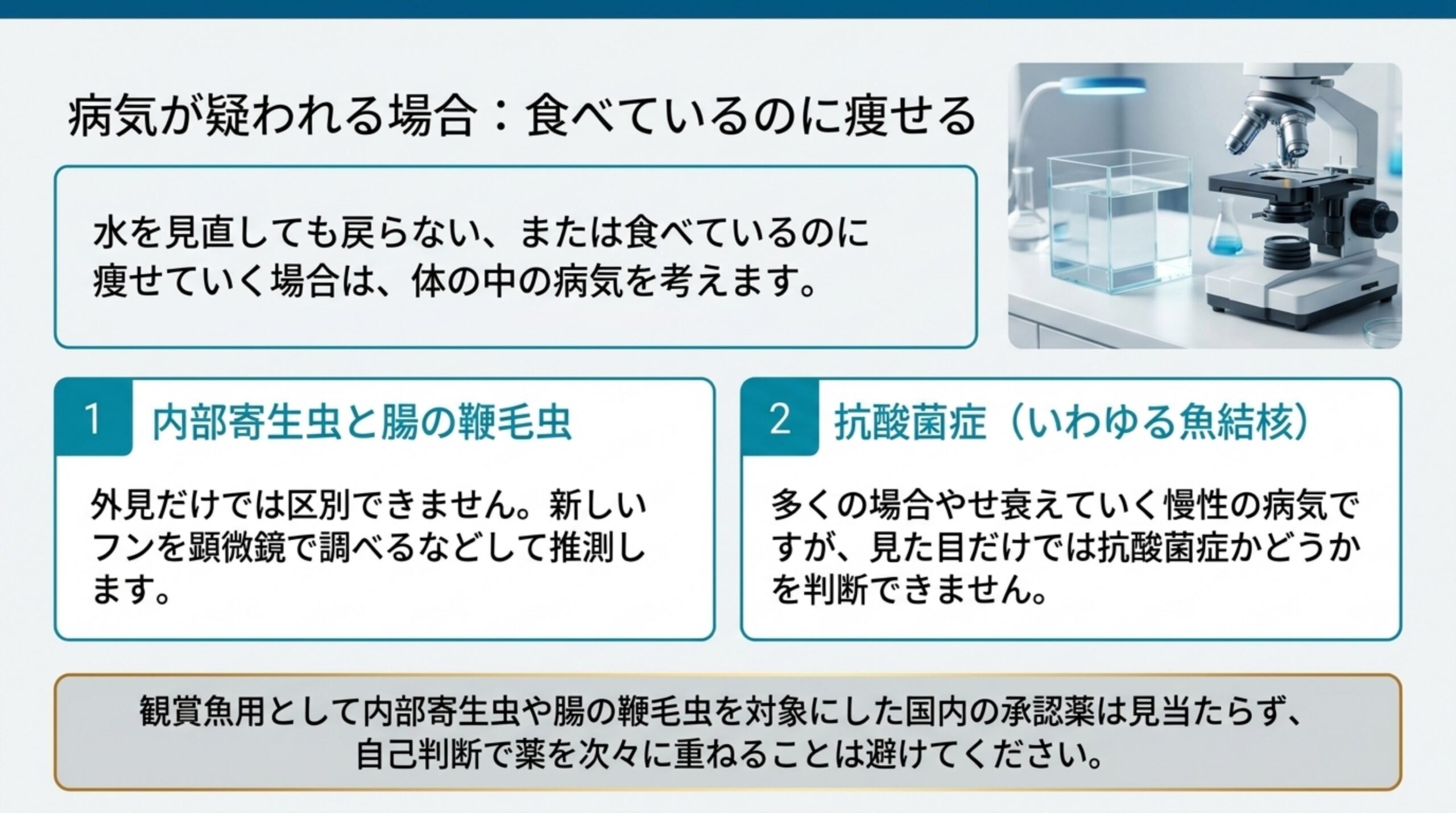 内部寄生虫と腸の鞭毛虫、抗酸菌症は見た目だけでは区別できず、自己判断で薬を重ねないよう示したスライド