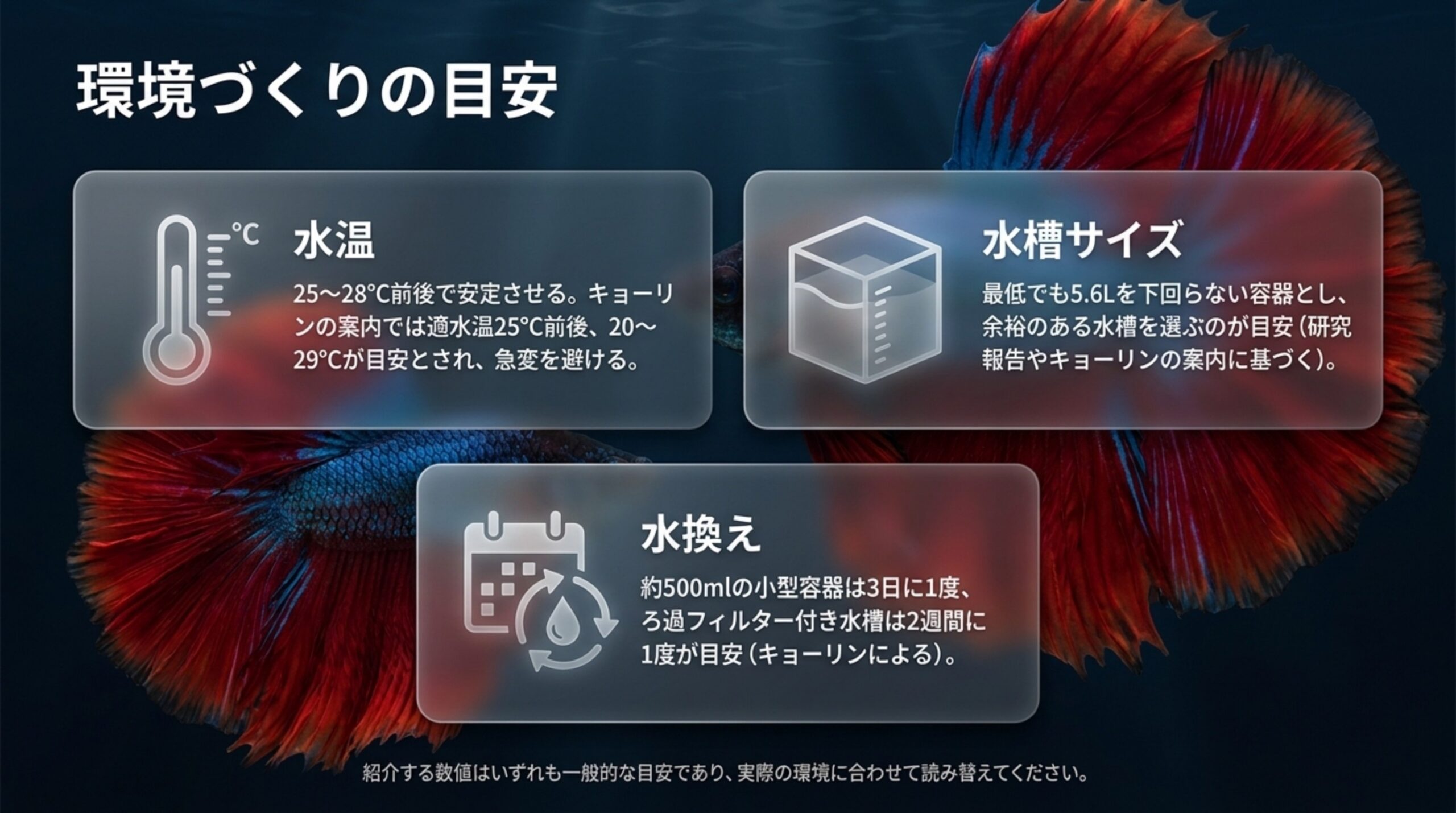水温25〜28℃前後、5.6Lを下回らない容器、水換え頻度の目安を3つの枠でまとめたスライド
