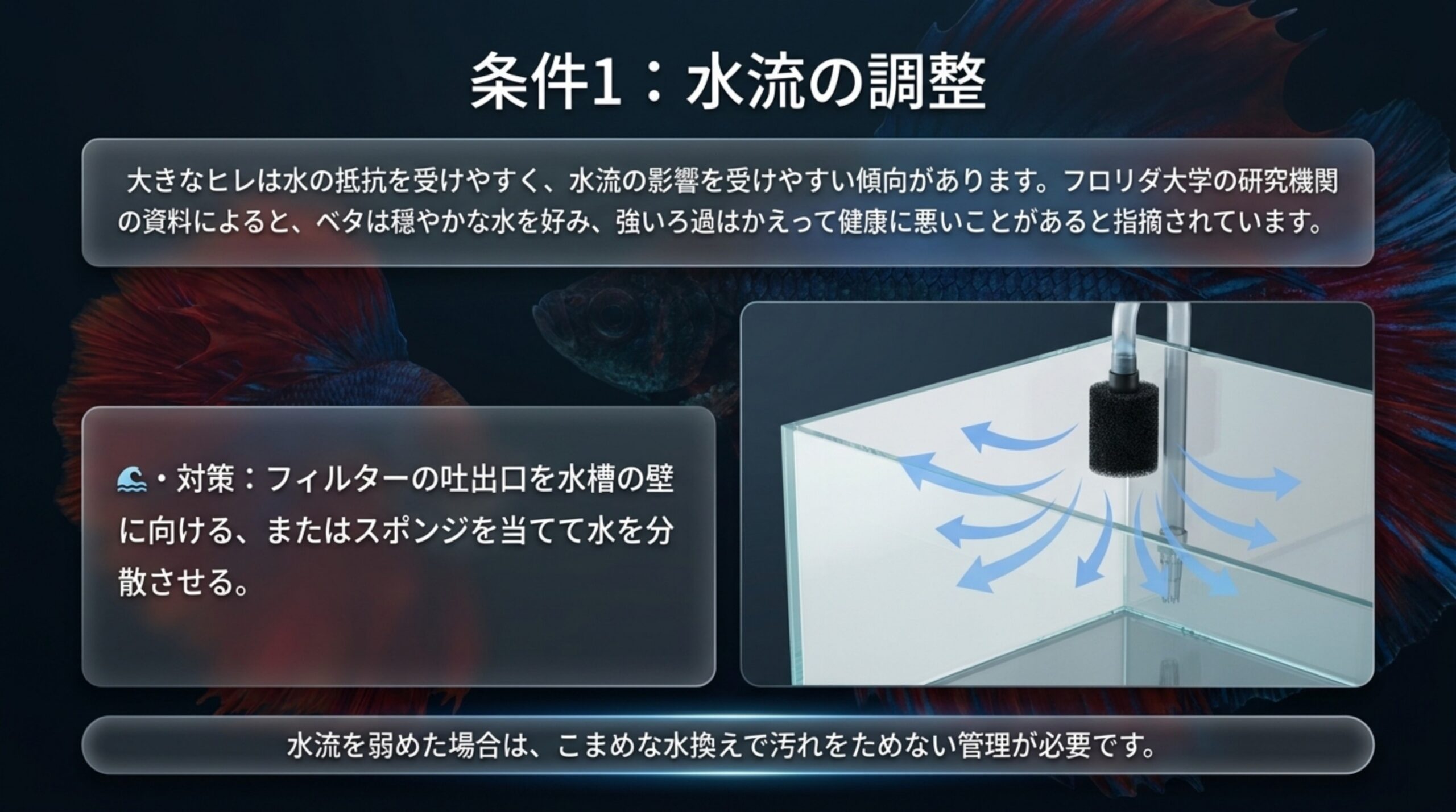 フィルターの吐出口を壁に向けたりスポンジを当てたりして水流を弱める対策を示したスライド
