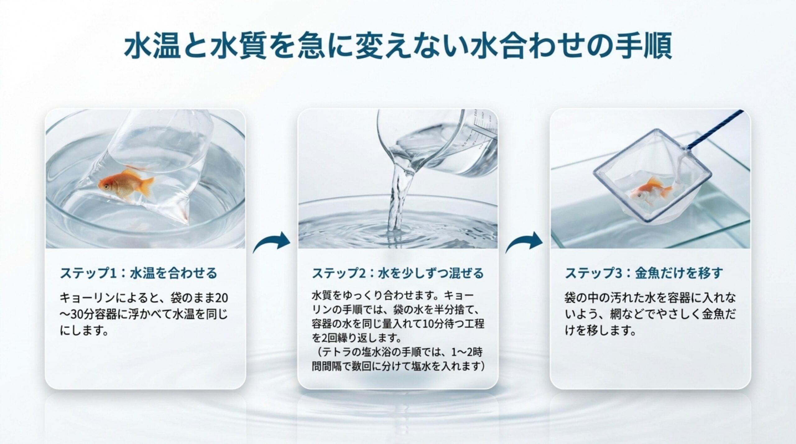 袋を浮かべて水温を合わせ、水を少しずつ混ぜてから金魚だけを網で移す3つの手順のスライド