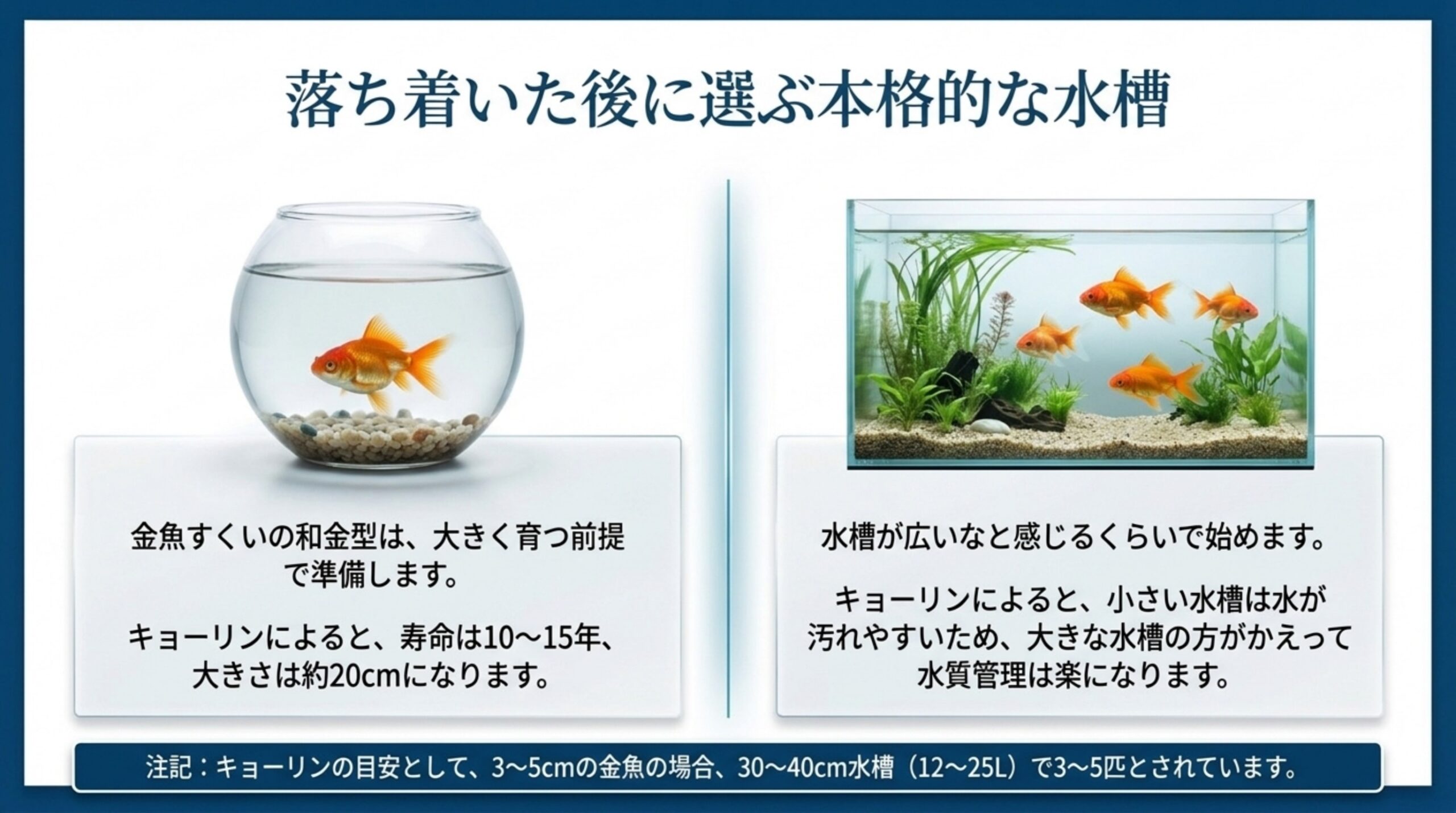 小さな金魚鉢と水草のある水槽を並べ、和金型は大きく育つ前提で広めの水槽から始めることを示したスライド