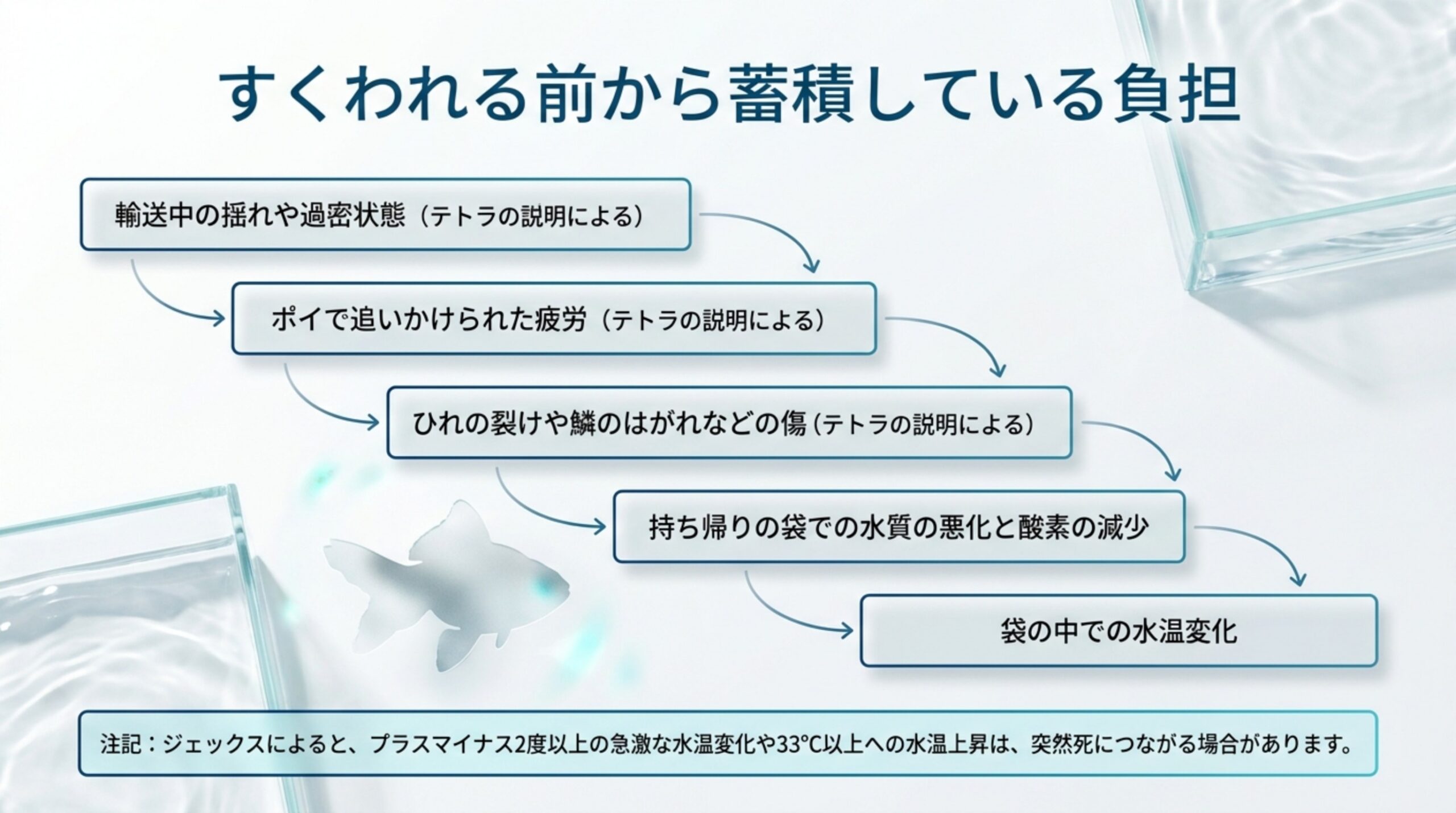 輸送や過密、ポイで追われた疲れ、袋の中の水質と水温の変化など、すくわれる前から重なる負担を順に示したスライド