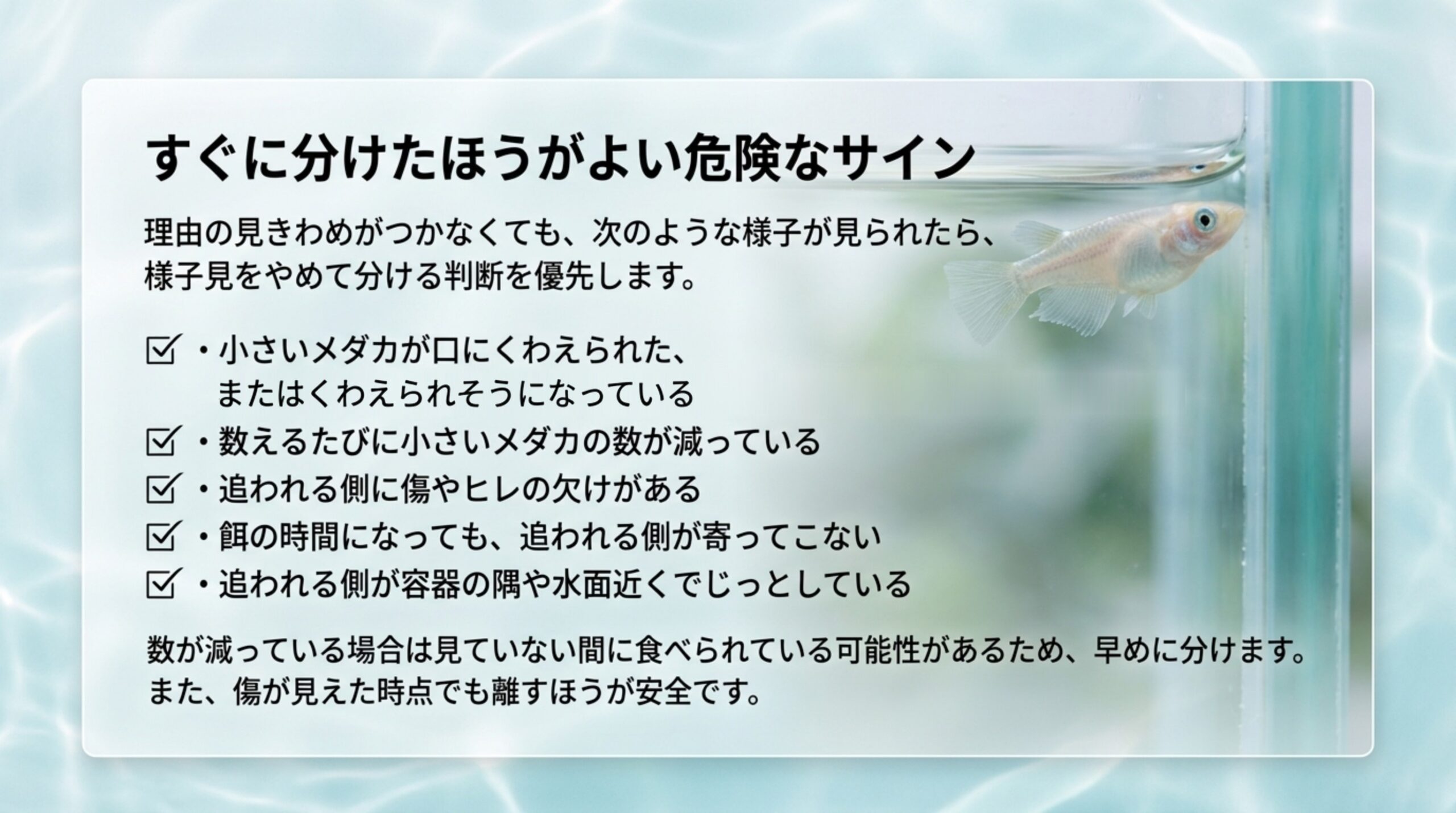 小さいメダカがくわえられた、数が減っている、傷やヒレの欠け、餌に寄ってこない、隅でじっとしているの5つをチェックリストにしたスライド