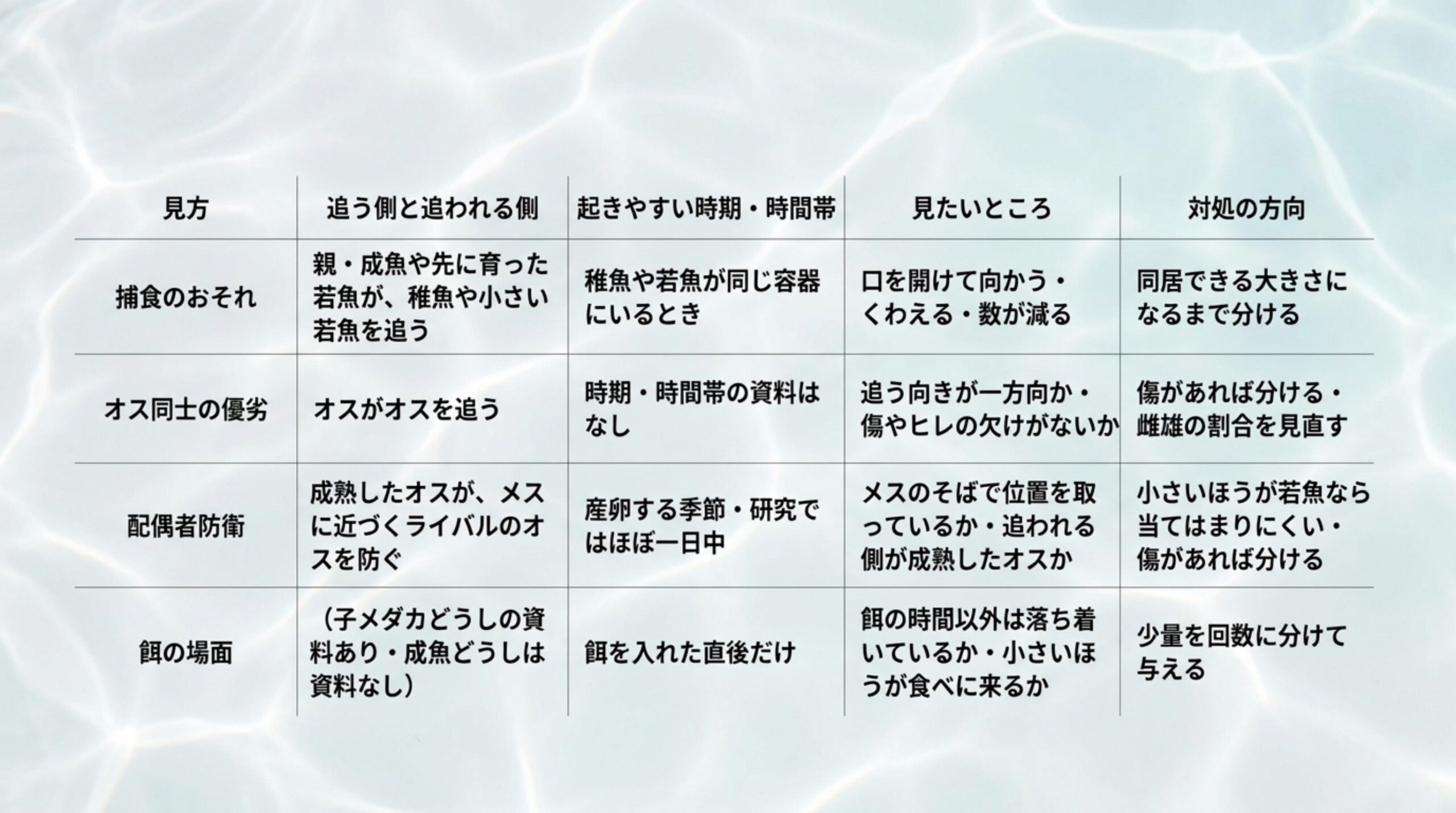 捕食・オス同士の優劣・配偶者防衛・餌の場面について、追う側と追われる側、起きやすい時期、見たいところ、対処の方向を並べた比較表のスライド