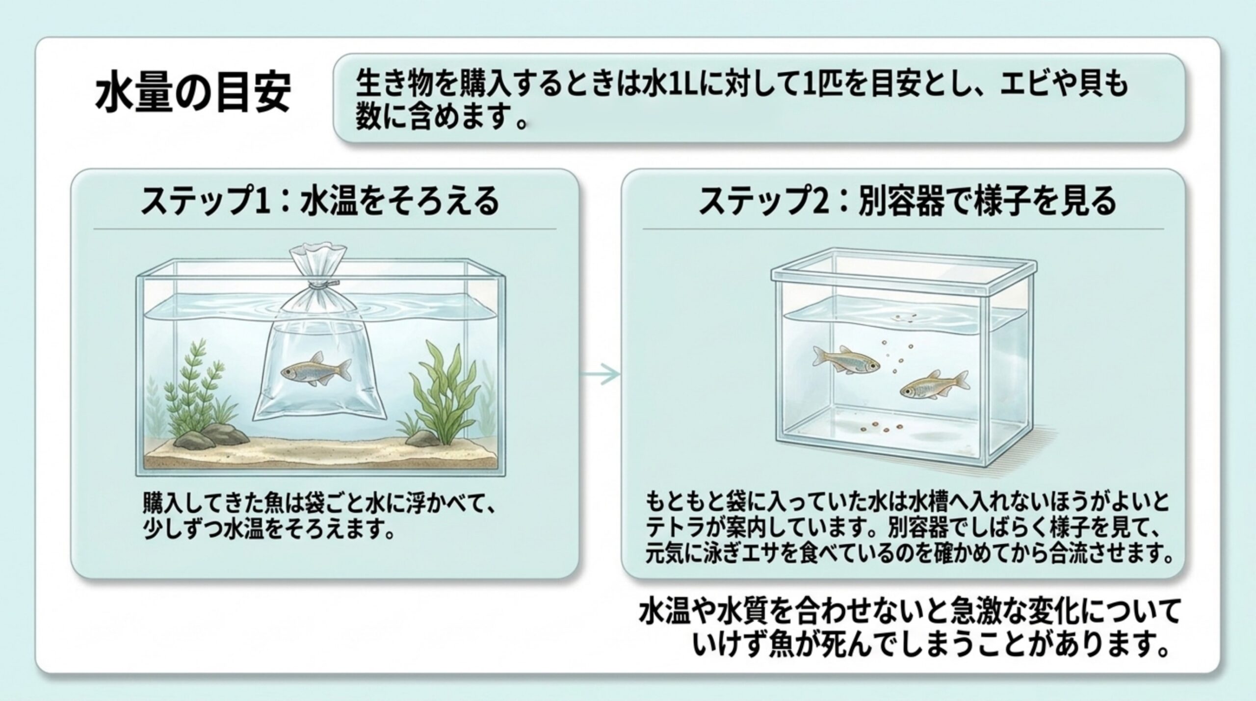 袋ごと浮かべて水温をそろえ、別容器で様子を見てから合流させる2つのステップと水量の目安を示したスライド