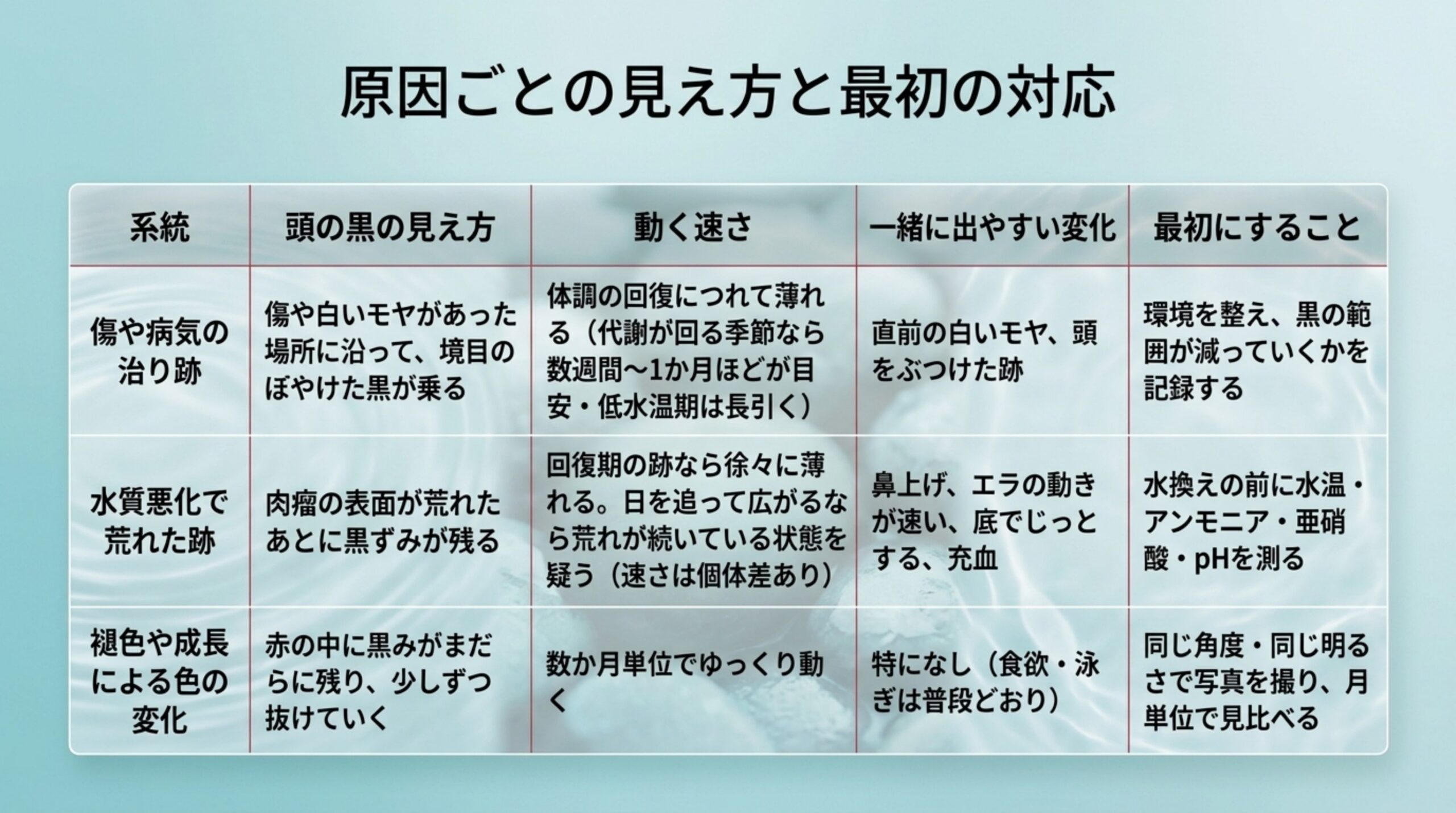 治り跡・水質悪化の跡・褪色の3系統について、頭の黒の見え方と動く速さ、最初にすることを比べた表のスライド