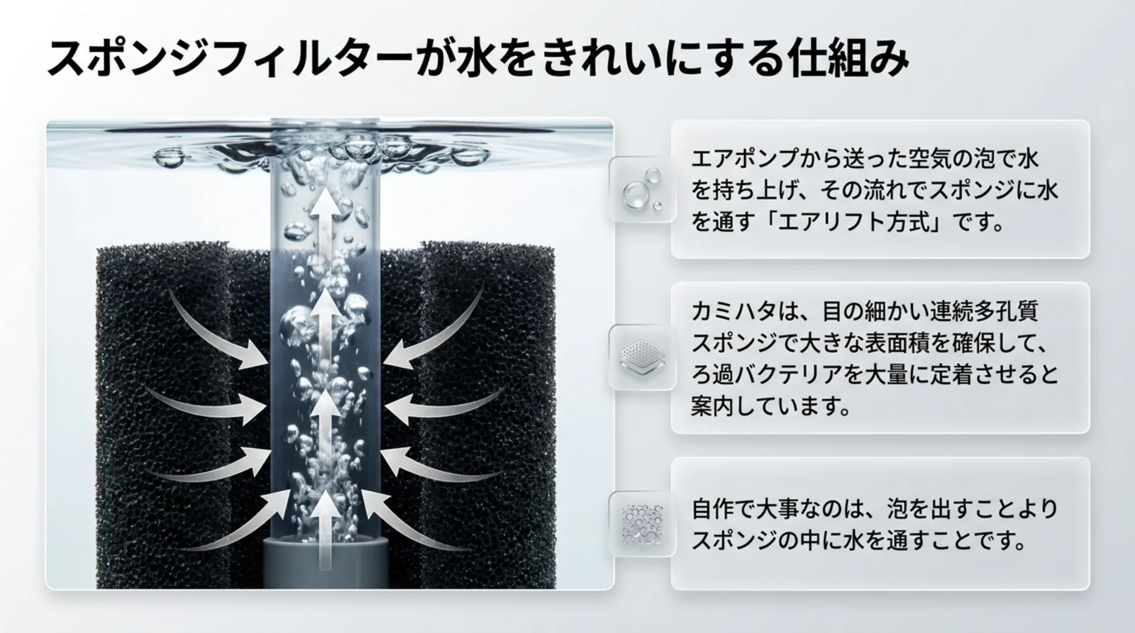 パイプの中を上る泡に引かれて、周りのスポンジを通った水がパイプへ入るエアリフトの仕組みを示した図のスライド