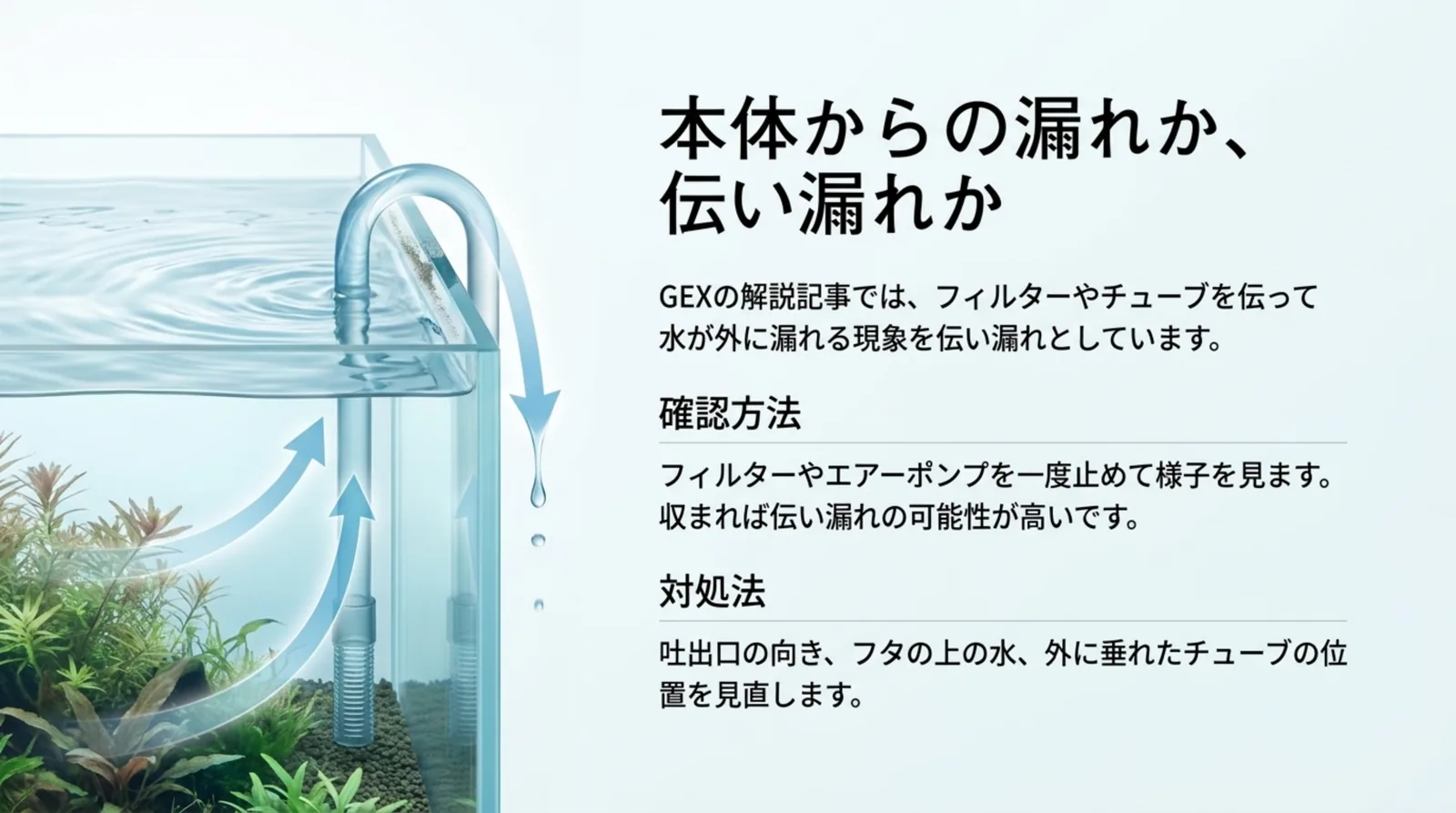 フィルターのパイプを伝って水が水槽の外へ落ちる図と、器具を止めて収まれば伝い漏れの可能性が高いという確認方法・対処法をまとめたスライド