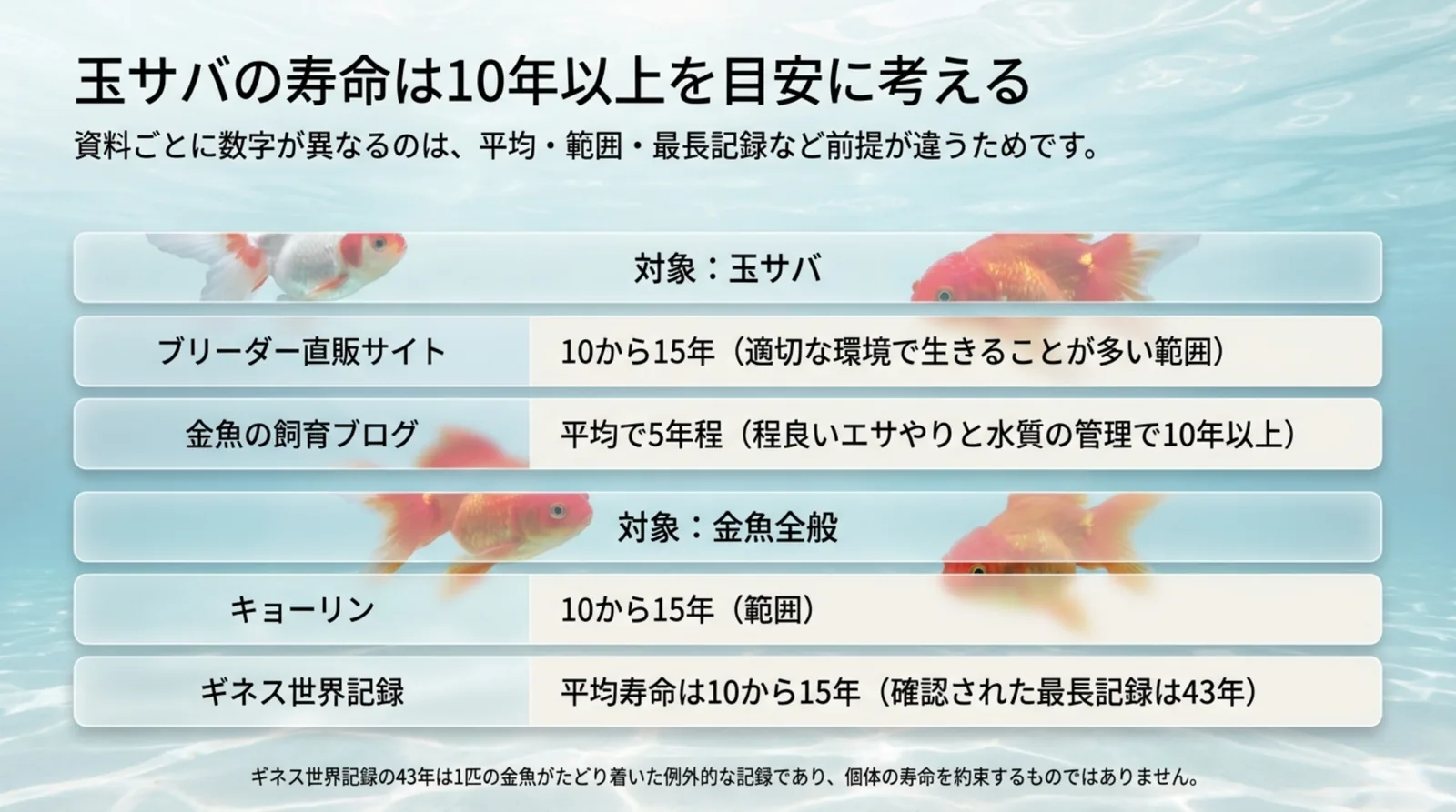 玉サバを対象にした資料と金魚全般を対象にした資料に分けて、寿命の数字と数字の種類を並べたスライド