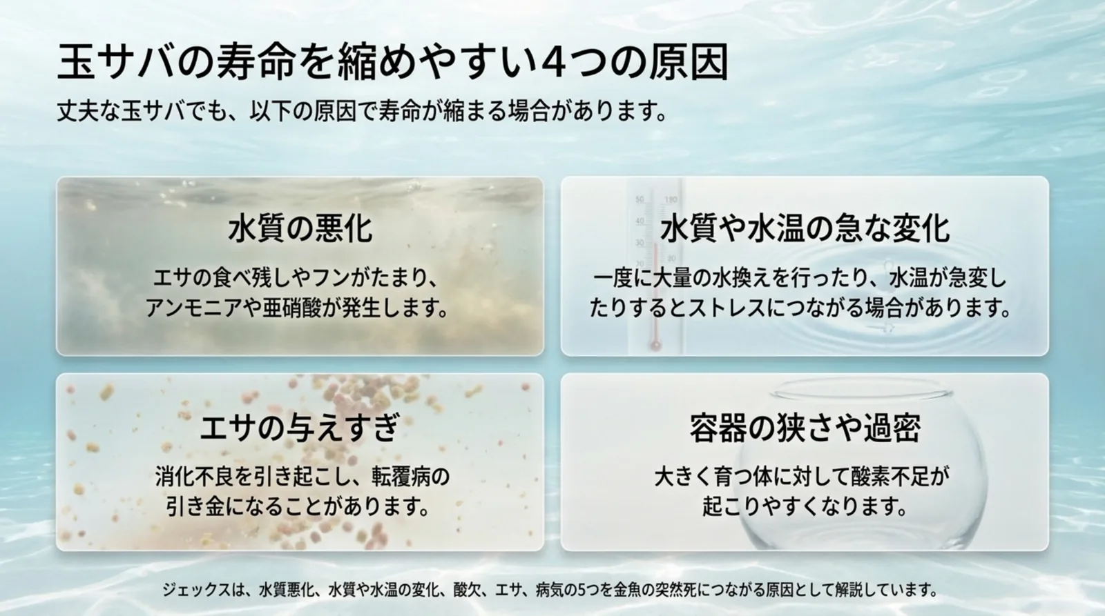 水質の悪化、水質や水温の急な変化、エサの与えすぎ、容器の狭さや過密という、寿命を縮めやすい4つの原因をまとめたスライド