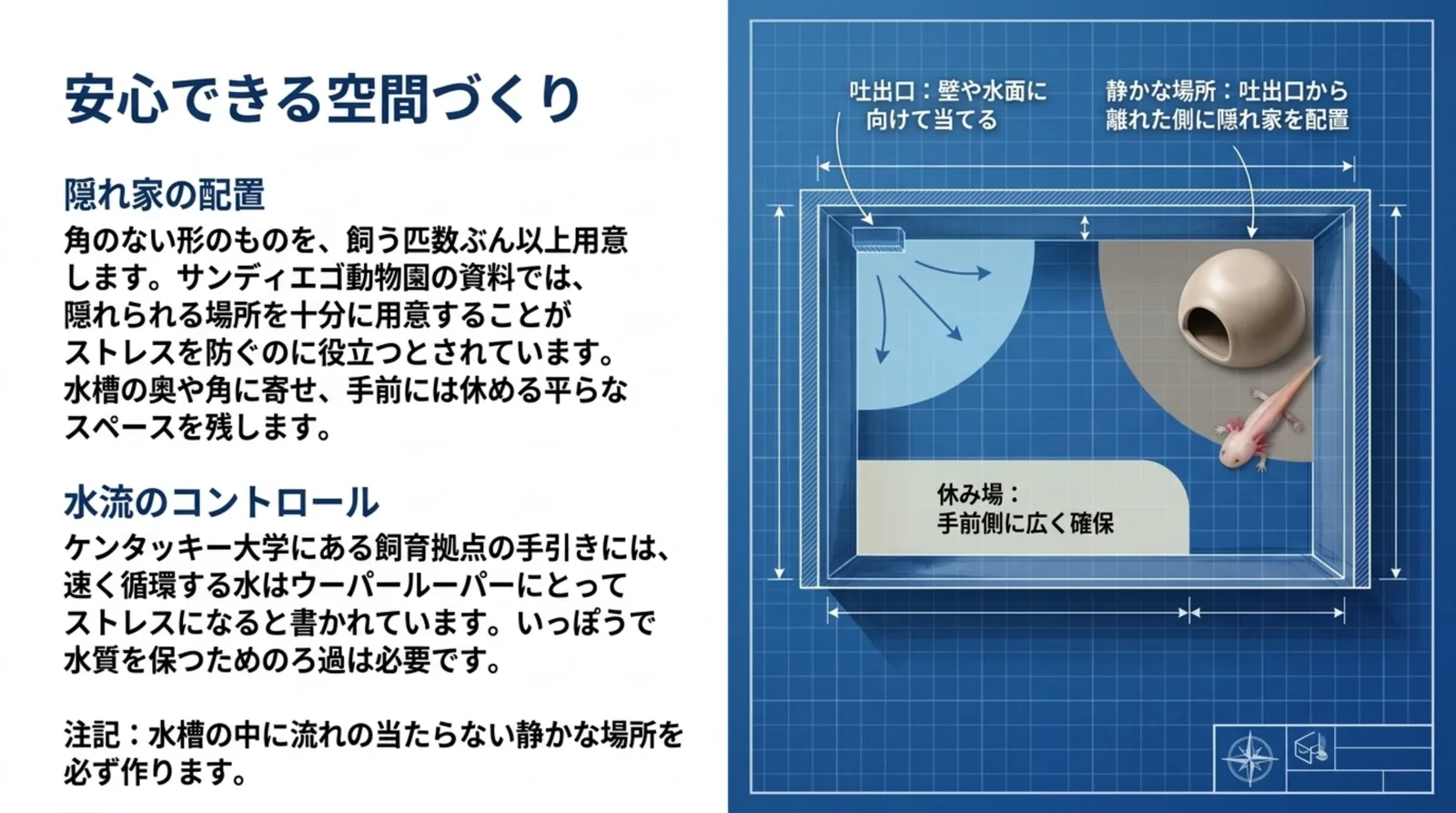 水槽を上から見た図で、吐出口を壁に向けて流れを弱め、吐出口から離れた奥に隠れ家、手前に休み場を置く配置を示したスライド