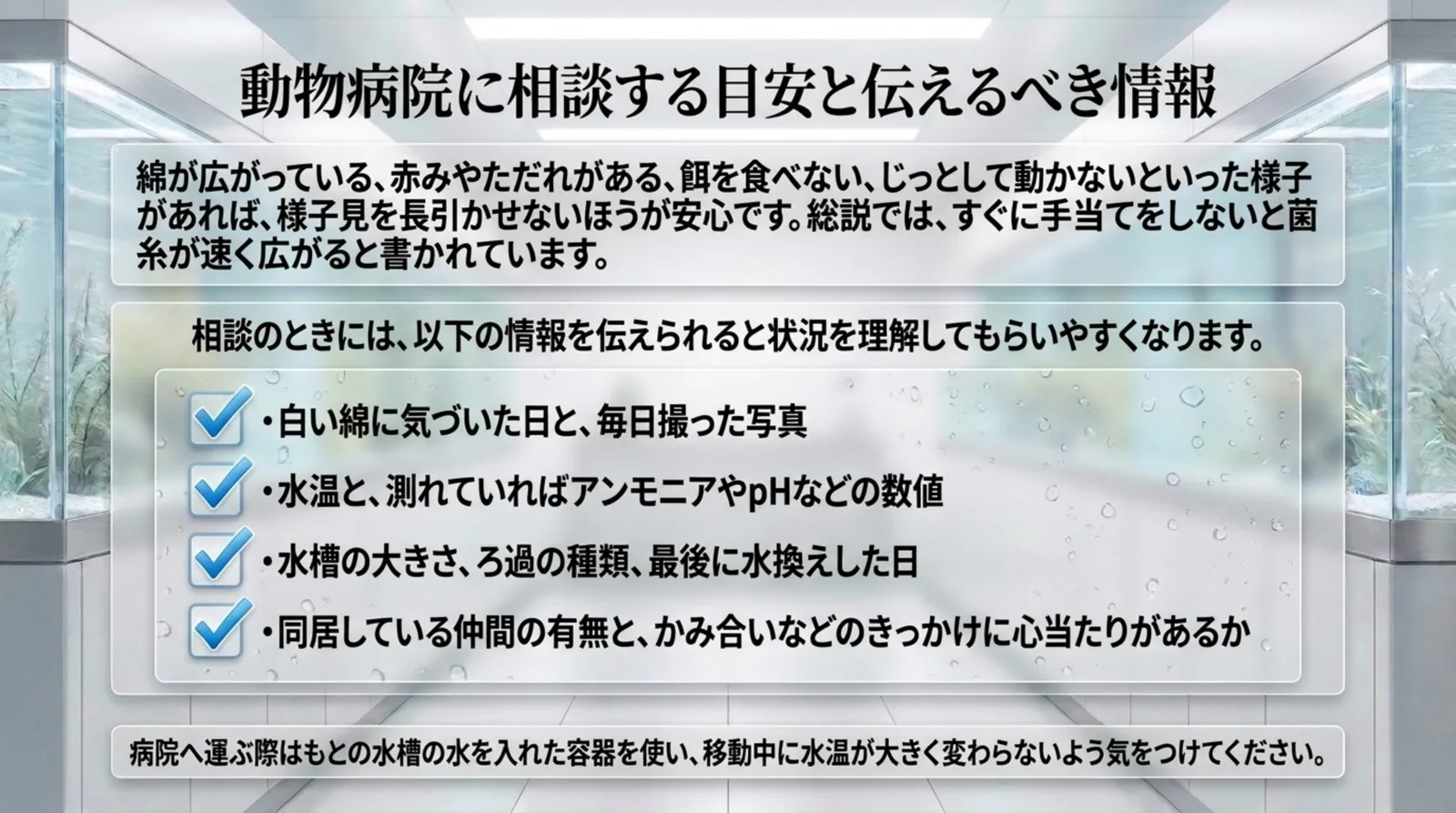 動物病院へ相談するときに伝えたい写真・水質の数値・水槽の情報・同居の有無のチェックリスト