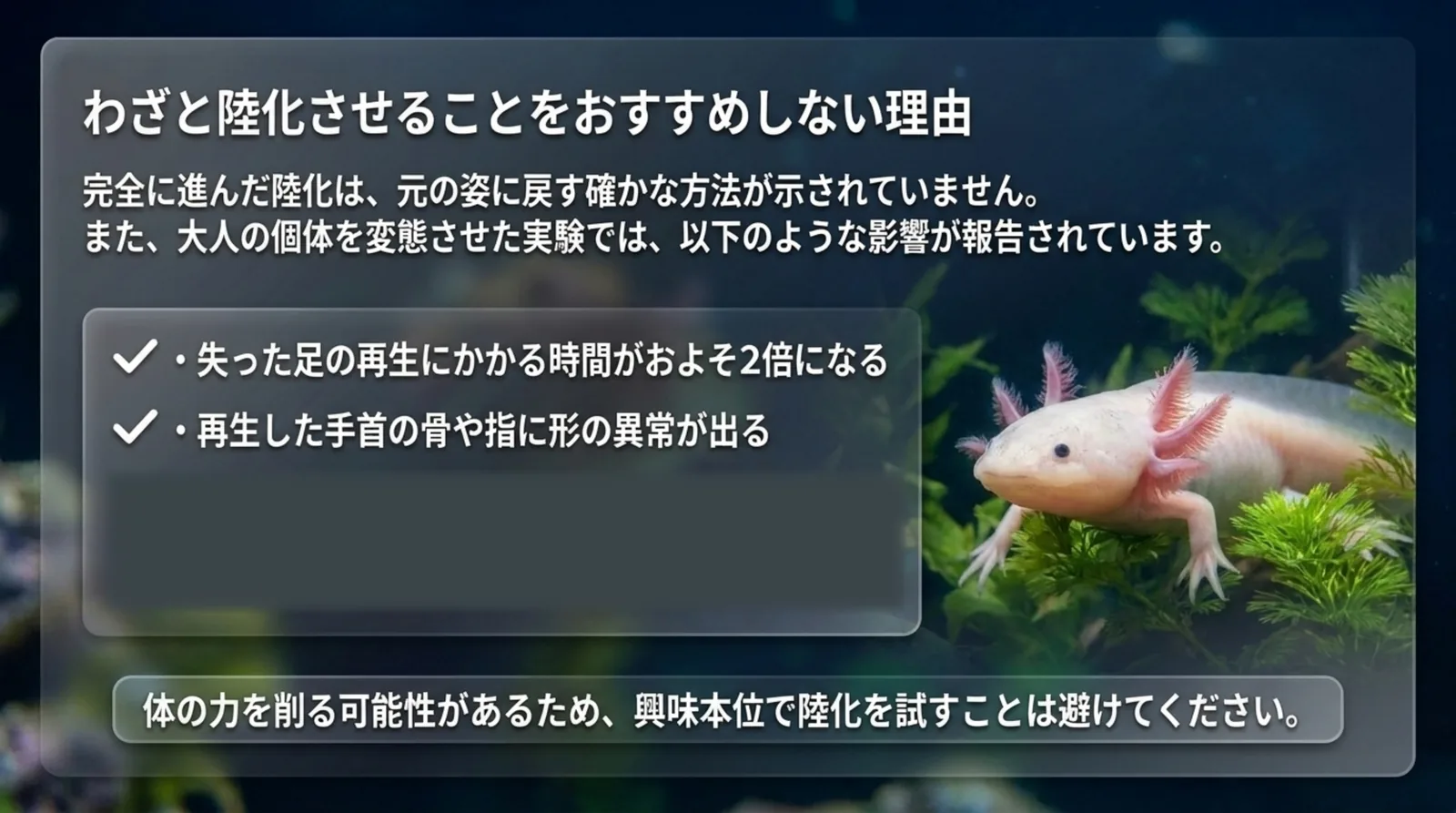 変態させた実験で足の再生にかかる時間が約2倍になり、手首の骨や指に形の異常が出たことを示したスライド