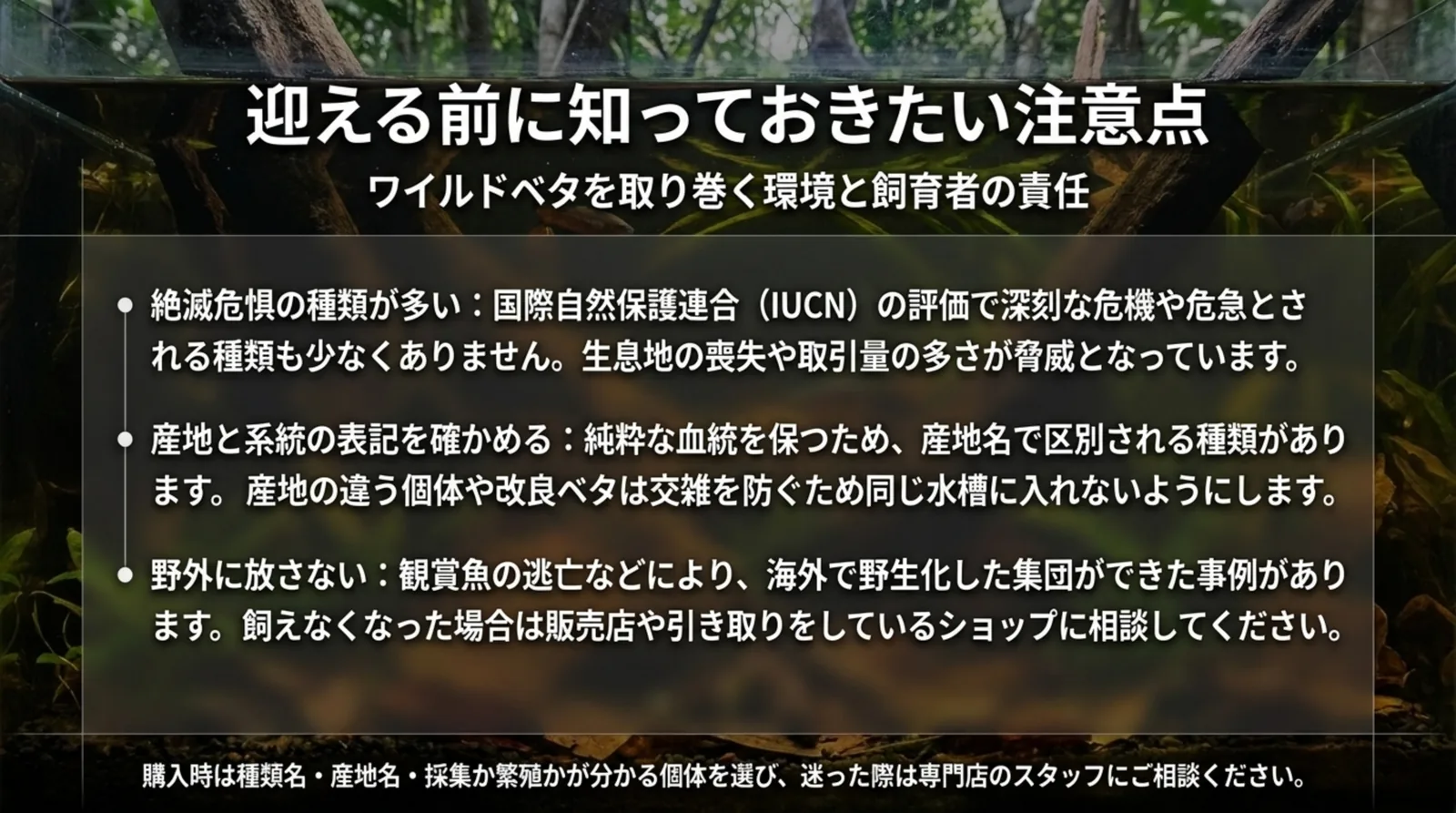 絶滅のおそれ、産地と系統の表記の確認、野外に放さないことの3点をまとめたスライド