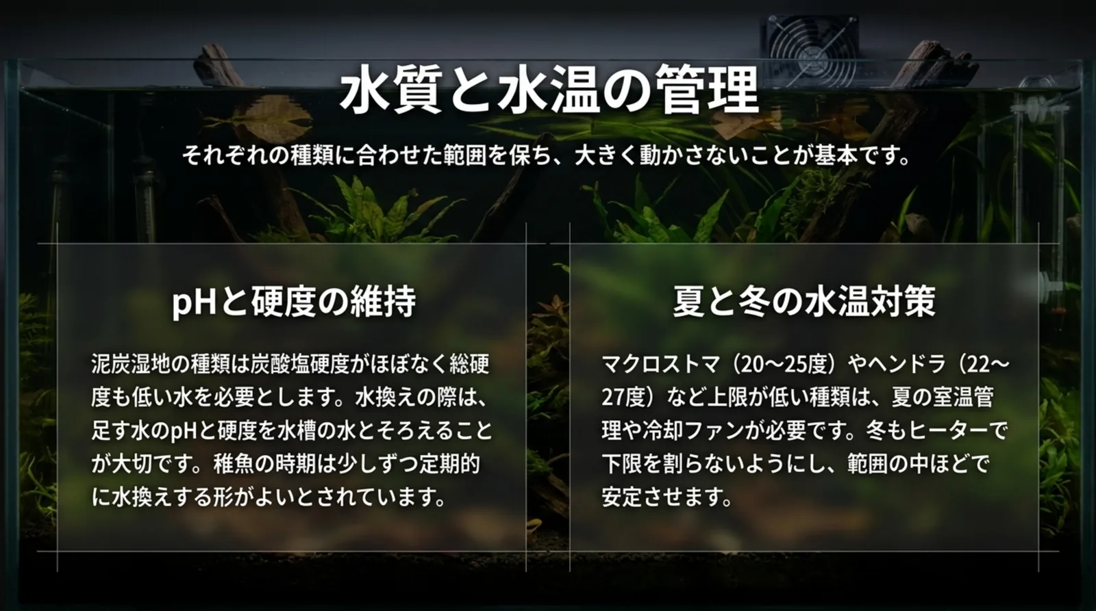 pHと硬度の維持と、夏と冬の水温対策を2つに分けて説明したスライド