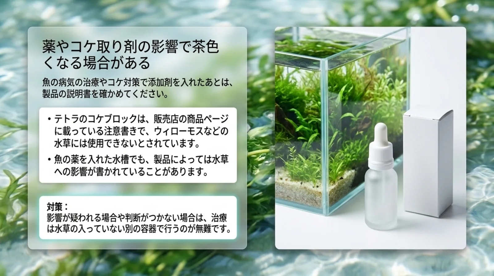水草水槽と薬の瓶の写真と、コケ取り剤や魚の薬の説明書を確かめること、治療は水草の入っていない別の容器で行う対策をまとめたスライド