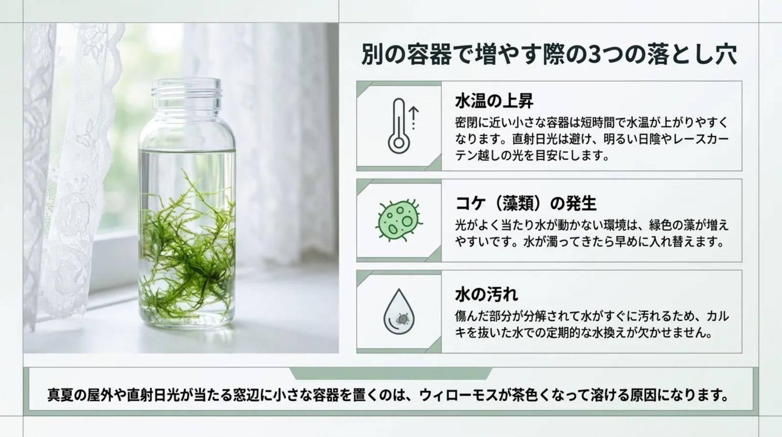 容器でウィローモスを増やすときに注意したい水温の上昇・藻の発生・水の汚れをまとめたスライド