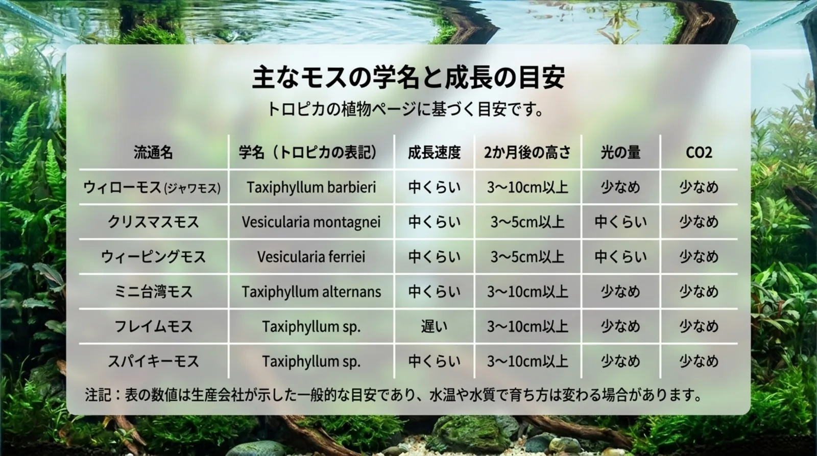 ウィローモス、クリスマスモス、ウィーピングモス、ミニ台湾モス、フレイムモス、スパイキーモスの学名と成長速度・高さ・光・CO2の目安を並べた表のスライド